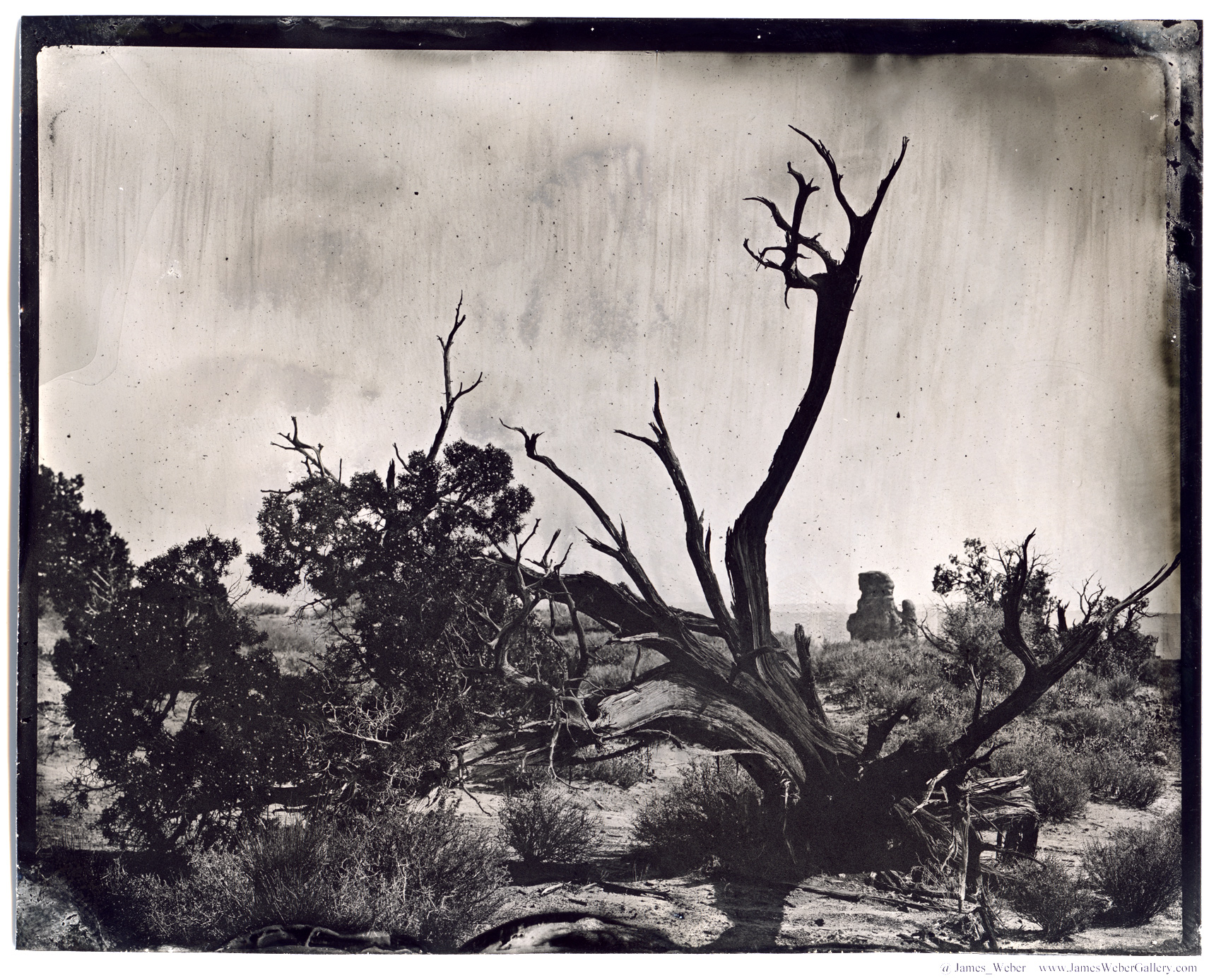 JAMES-WEBER-PHOTOGRAPHER-WET-PLATE-2014-00463.jpg