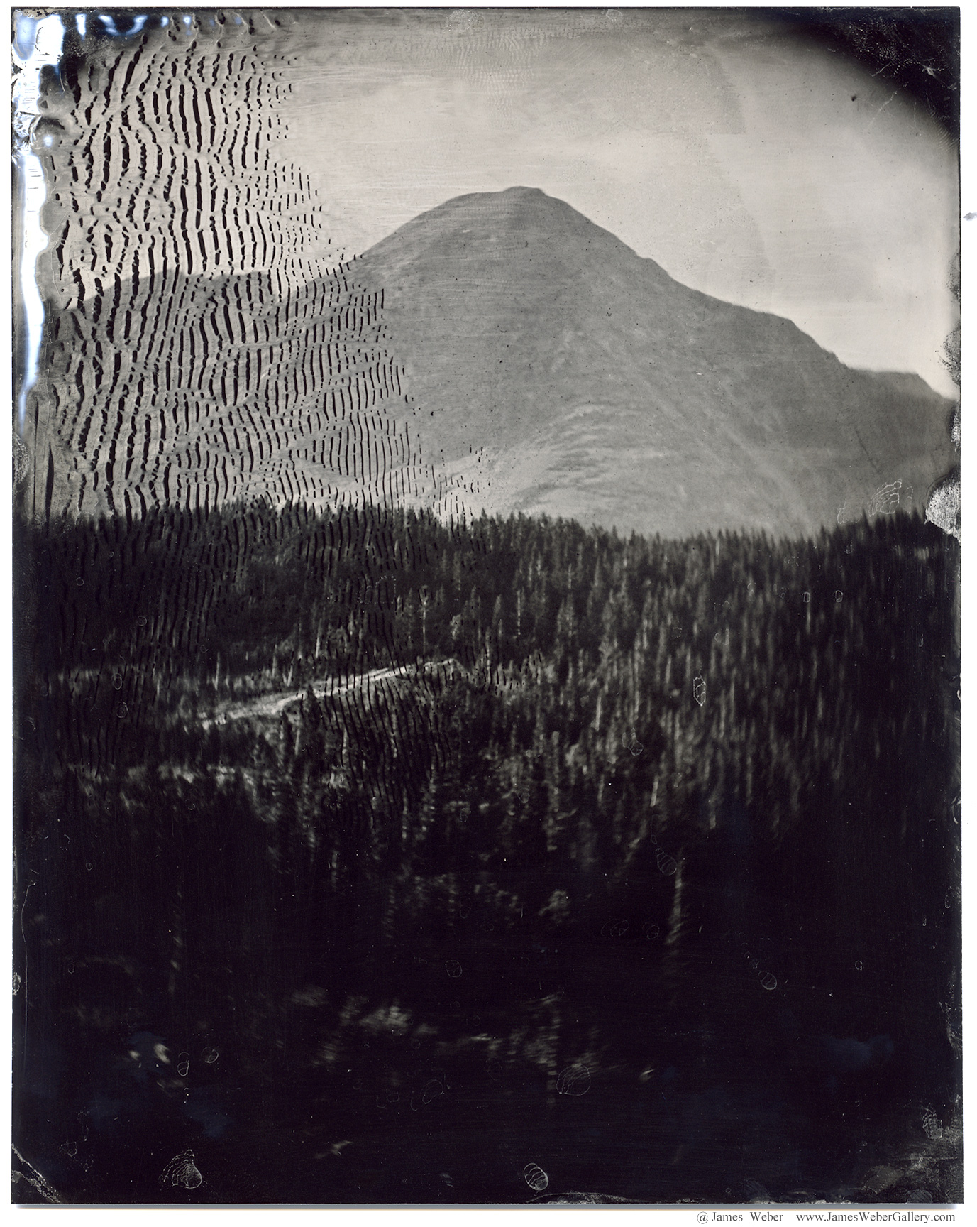 JAMES-WEBER-PHOTOGRAPHER-WET-PLATE-2014-00464.jpg