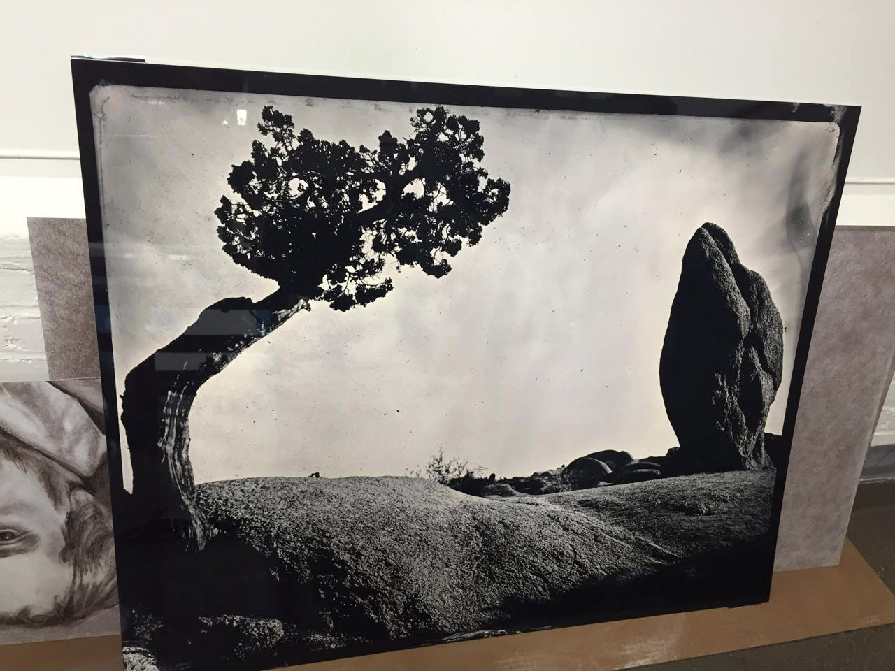A closeup of my metal print from my travelling series, "The Road Less Travelled". It was taken in Joshua Tree National Park.