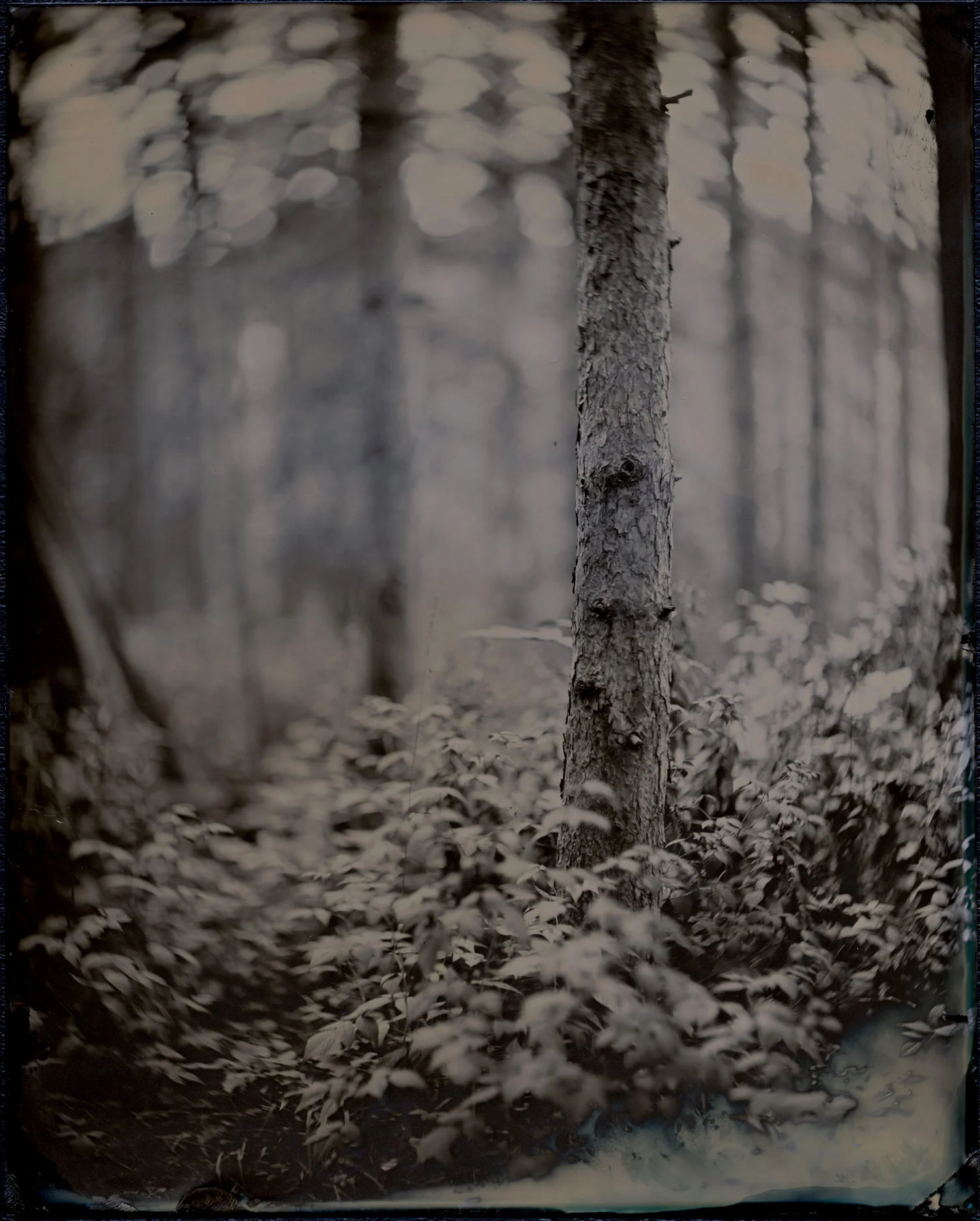 james-weber-photographer-07242012_3047.jpg