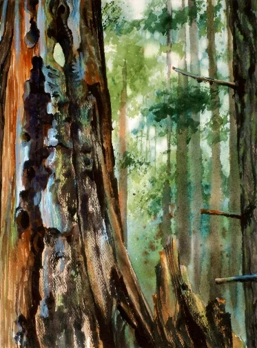 Suze Woolf (American / WA) Remnants Watercolor on Paper, Framed 11” x 14” $400