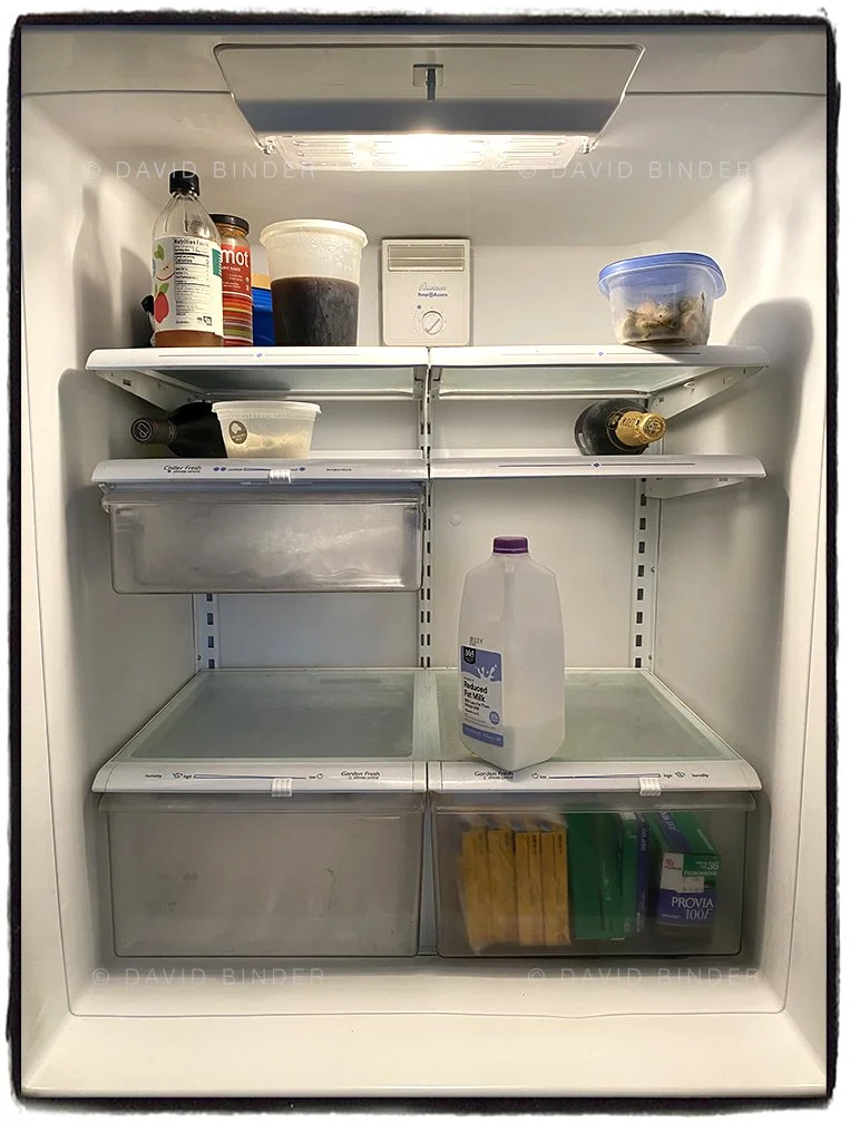 Sad_Food_Refrigerator 3.jpg