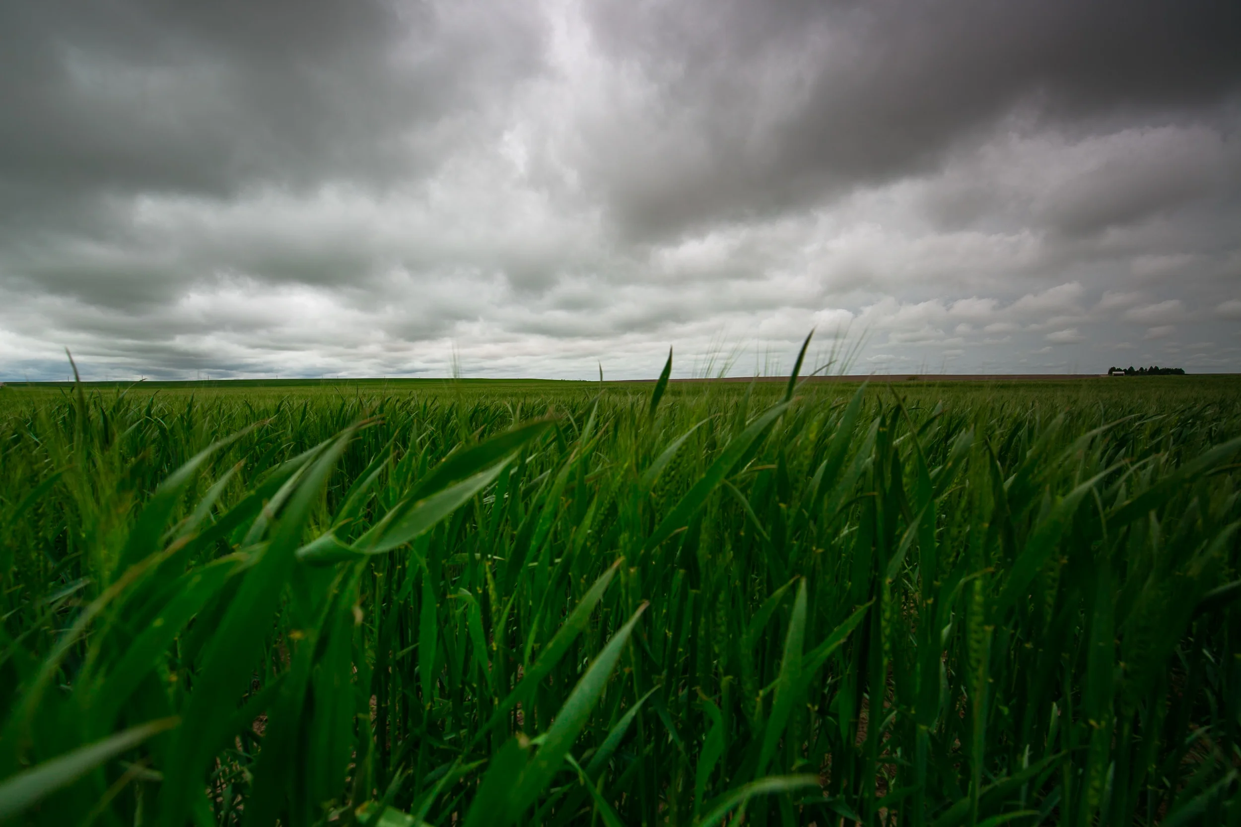 Eastern Colorado-24.jpg