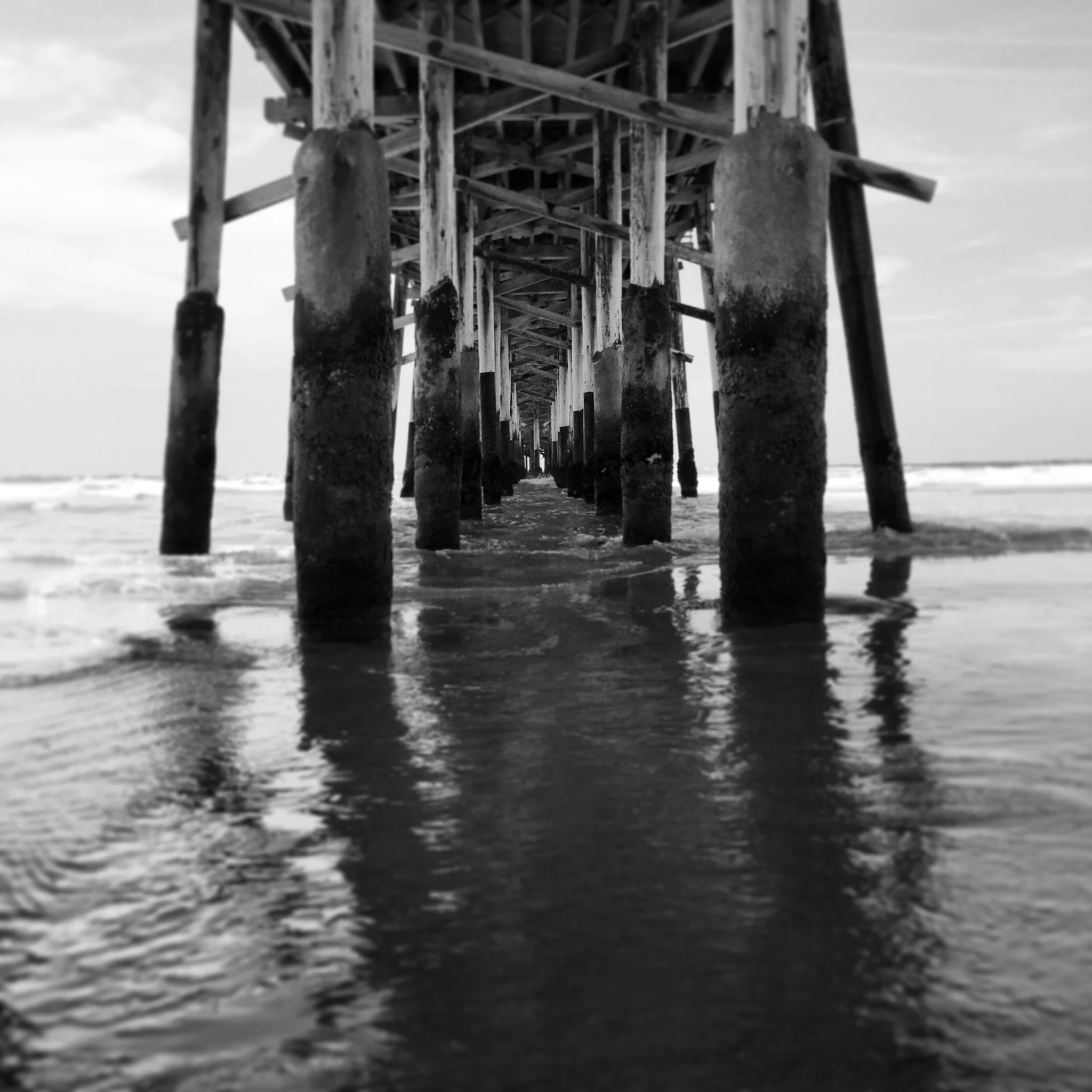 IMG_0669.jpg