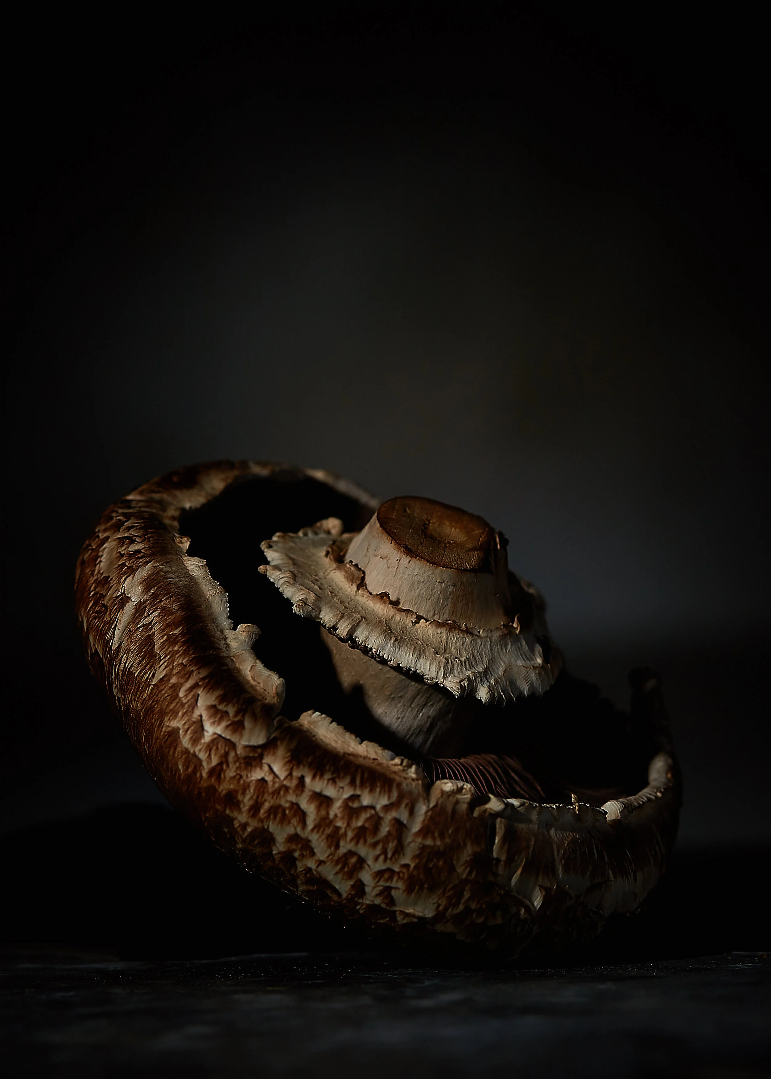 Vegtable Still Life Study1017.jpg