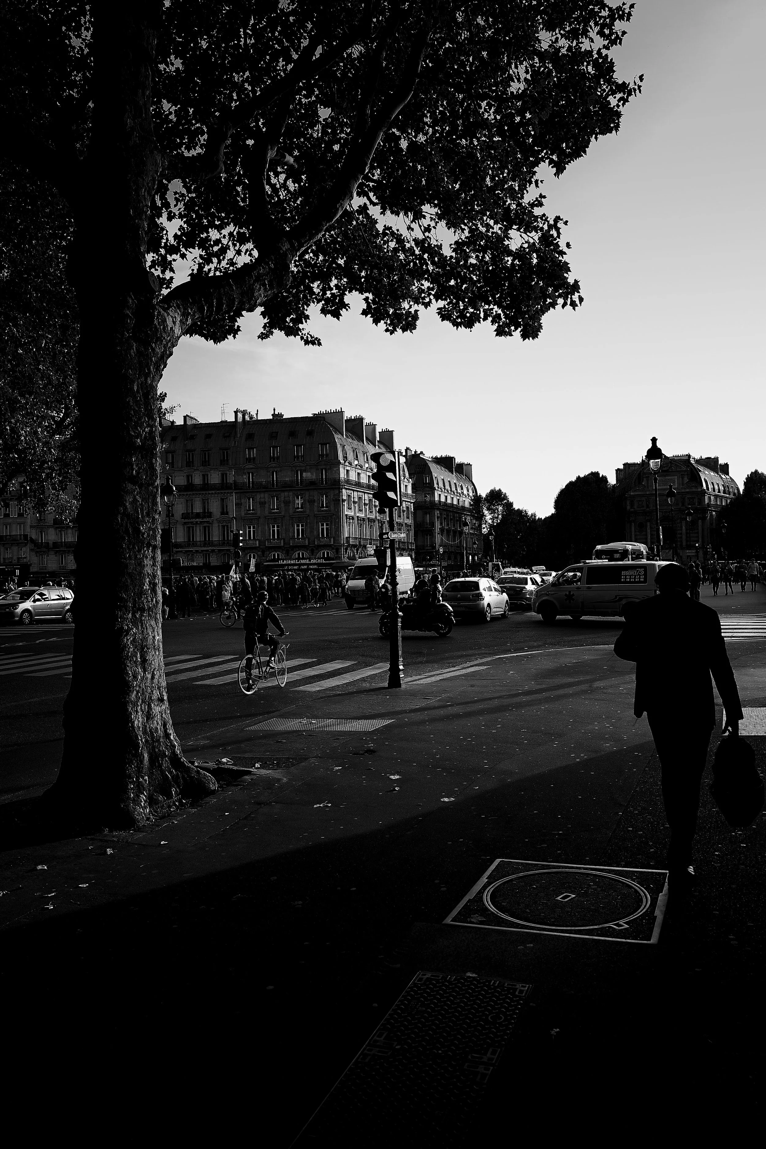 Paris(street) 3.jpg