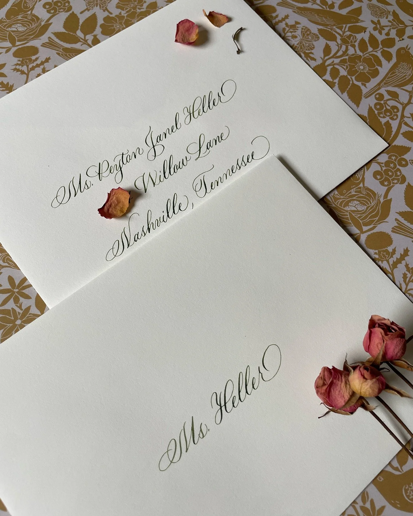 Fall weddings are ramping up and showing off all the best neutrals! Warm ink colors are having a special moment!

#calligraphy #calligrapher #wedding #weddingcalligraphy #weddingcalligrapher #weddingpaper #envelopecalligraphy #bessbooth #bessboothcal