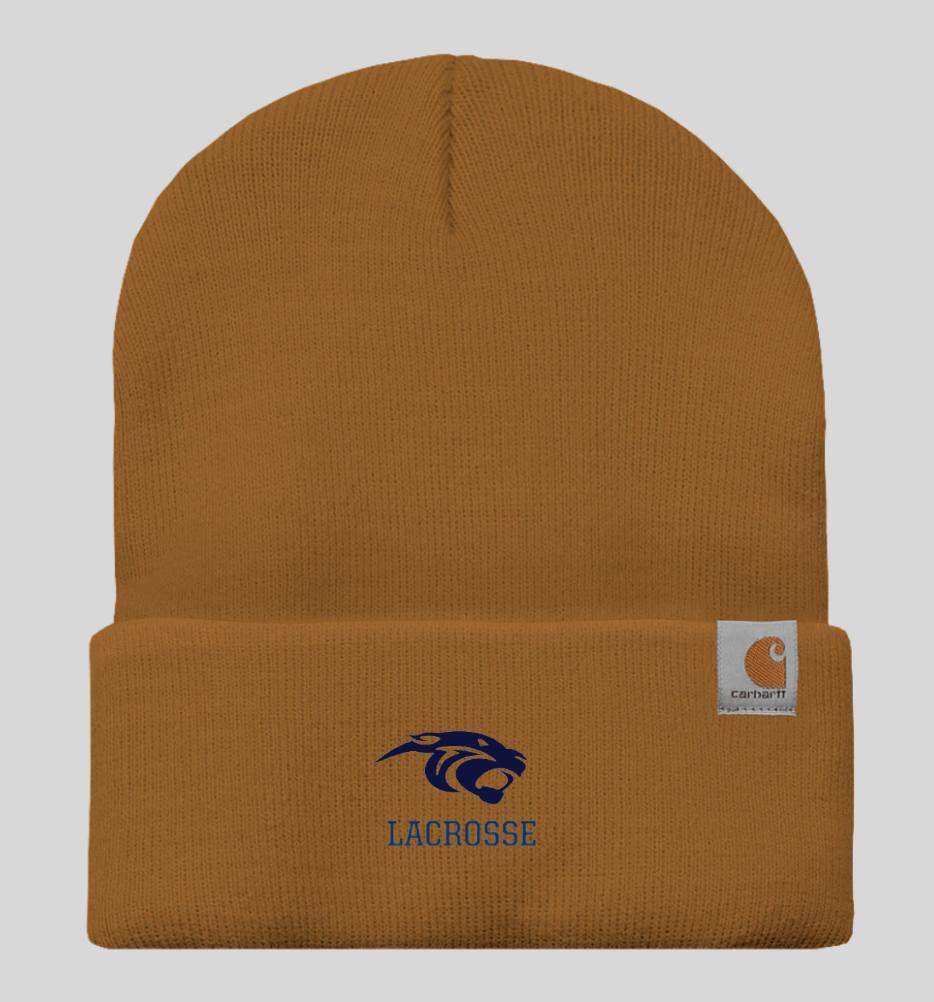 Screenshot 2024-02-15 at 9.10.05 AM.png