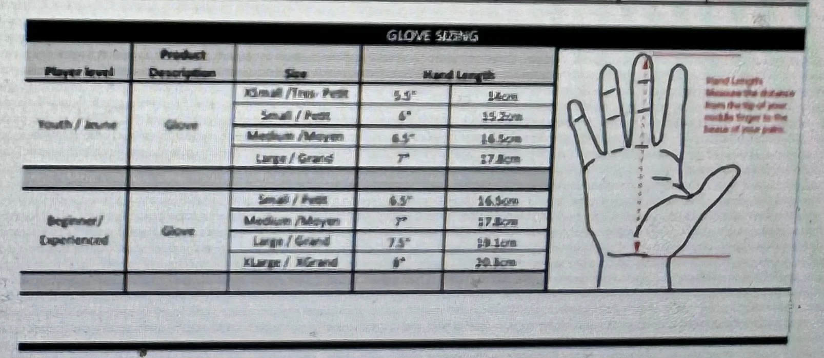 IMG_6644.jpeg (Copy) (Copy)