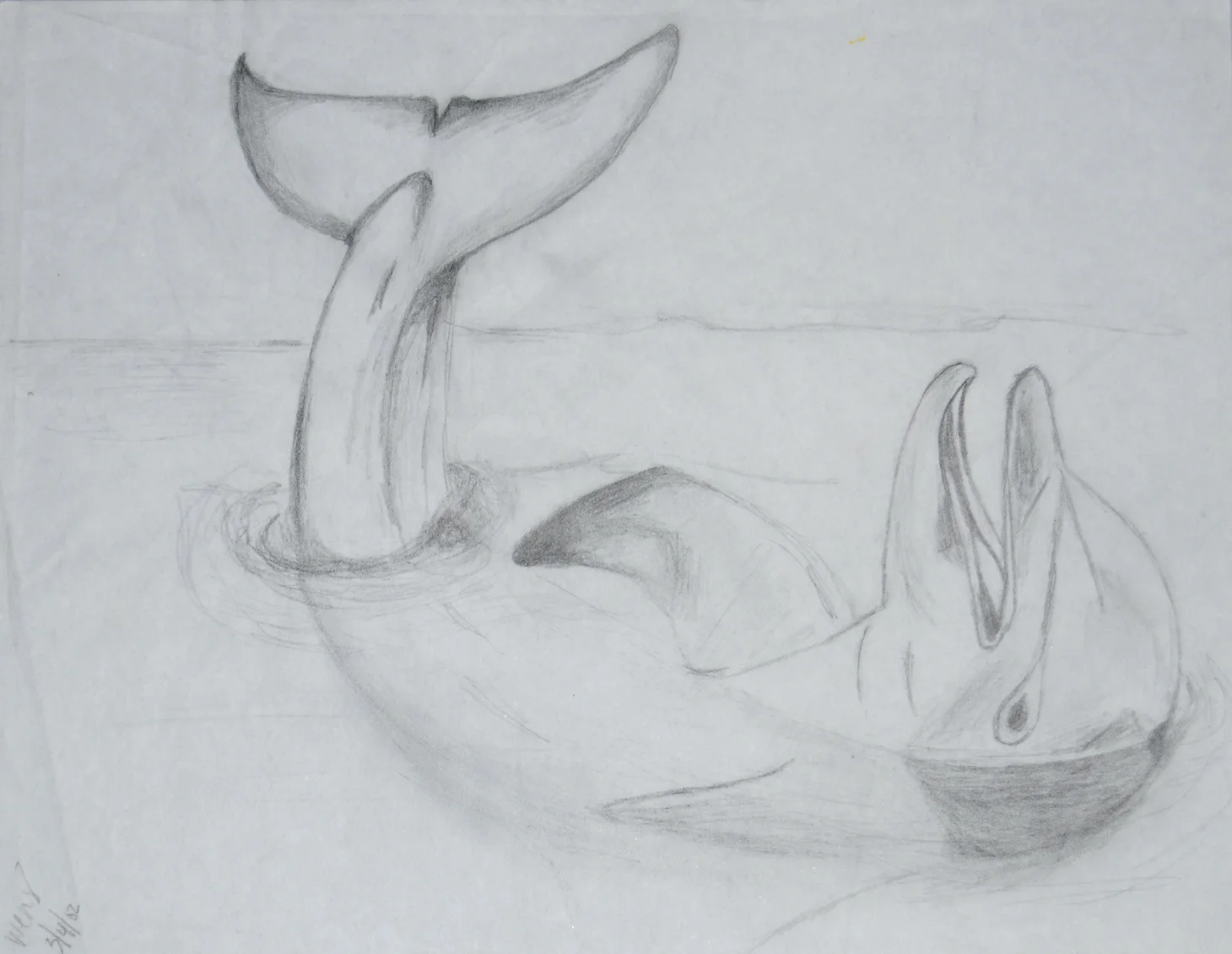 dolphin small.jpg
