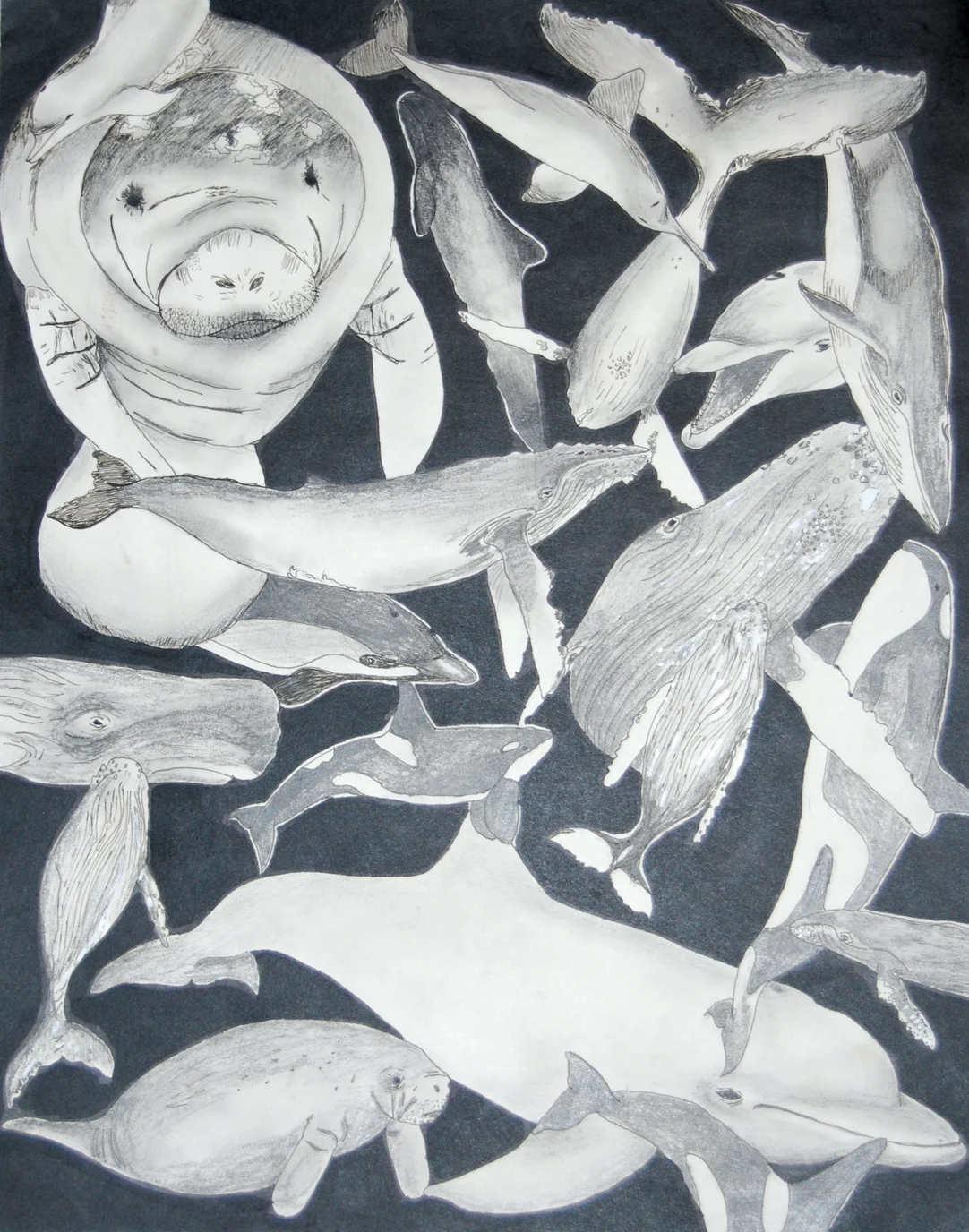 sealife small.jpg
