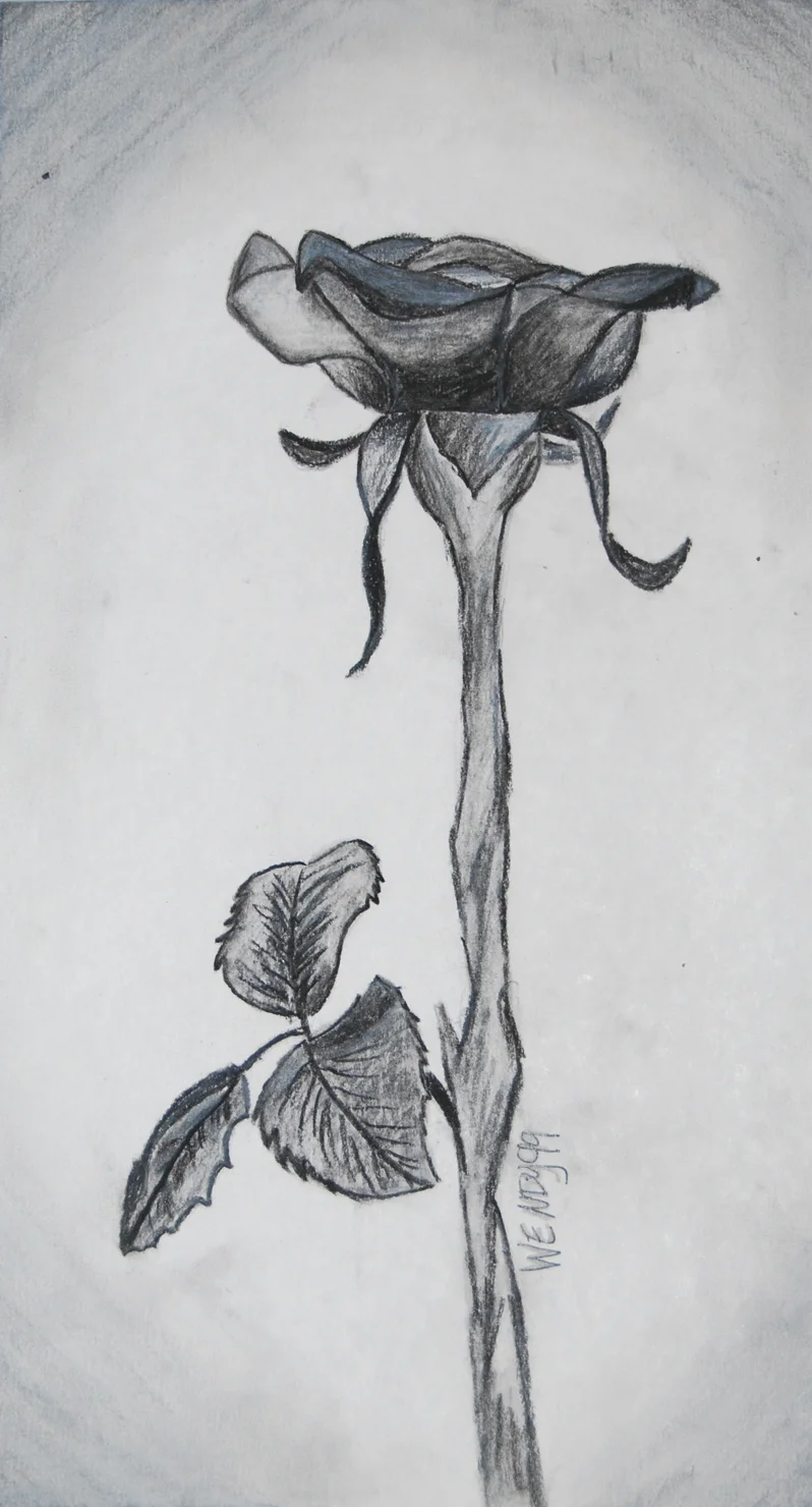 rose small.jpg