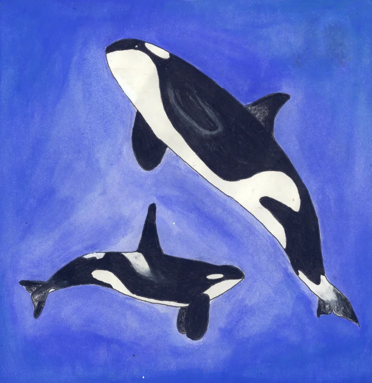 stamps whale1small.jpg