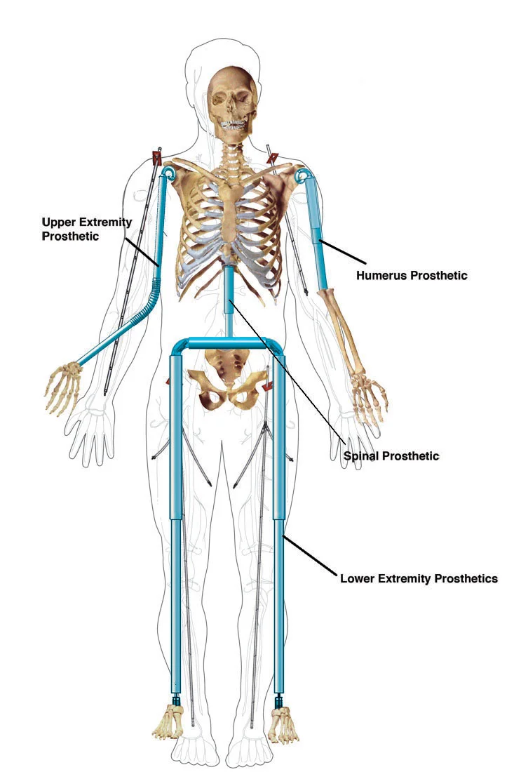 Skeleton tubingnew.jpg