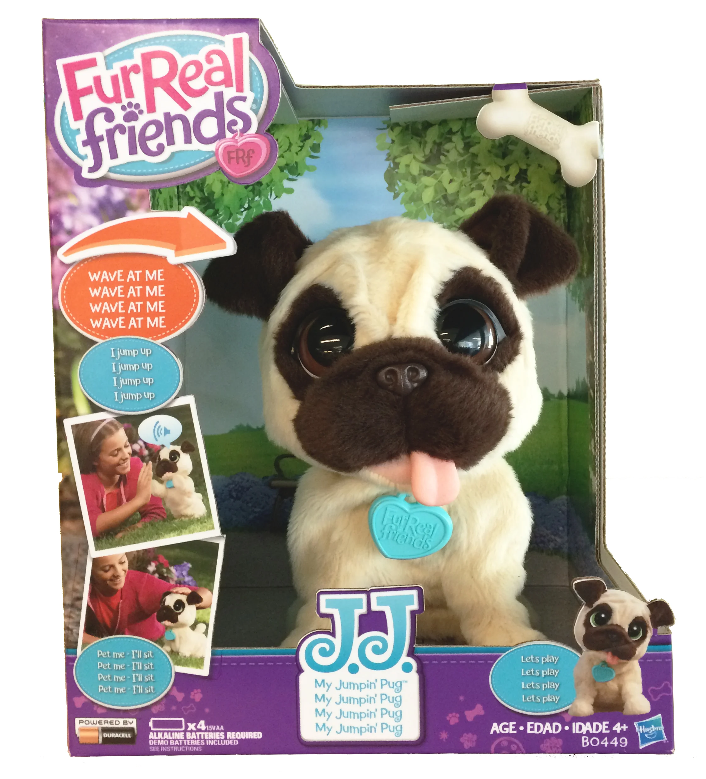 Pug_Package.jpg