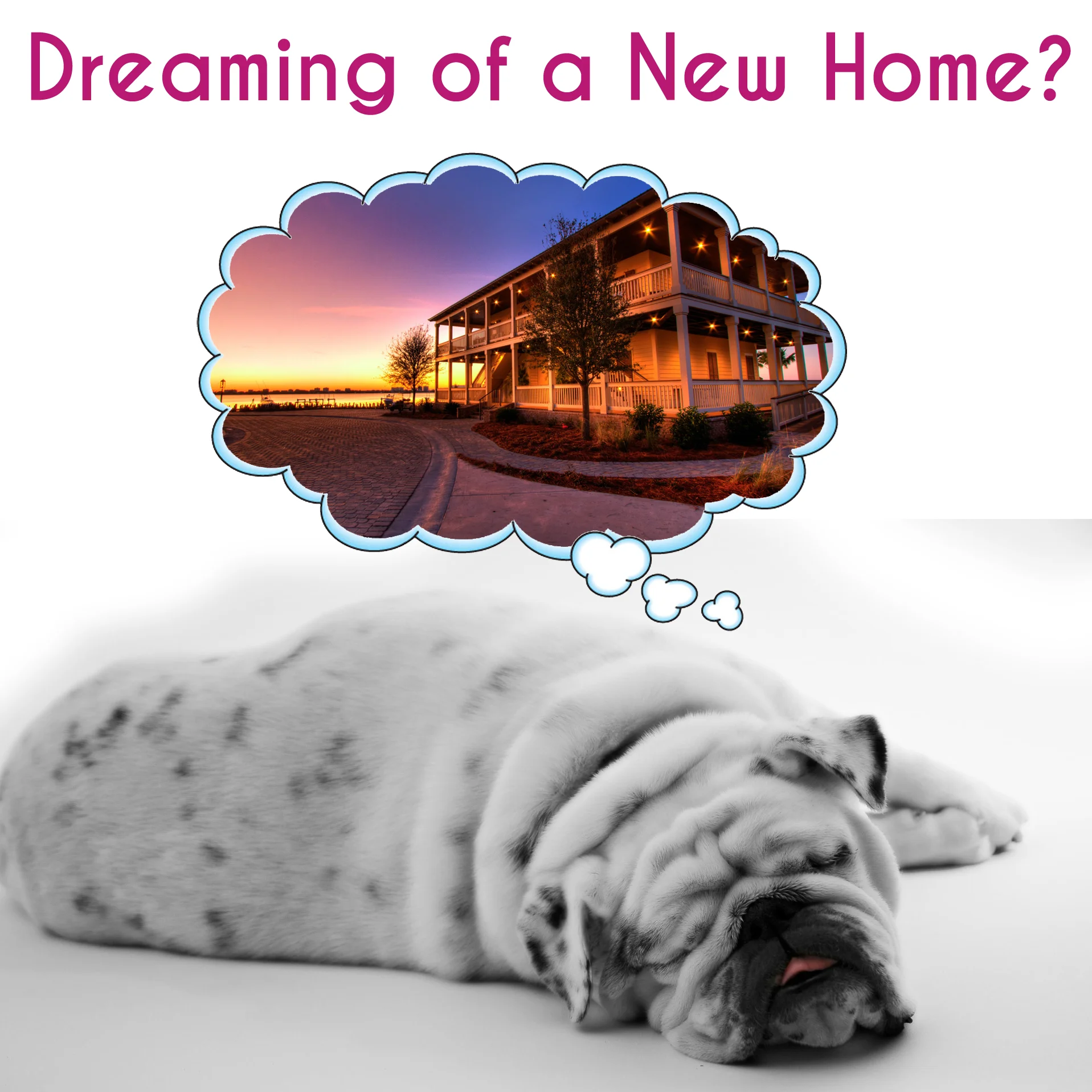 DreaminOfaNewHome.jpg