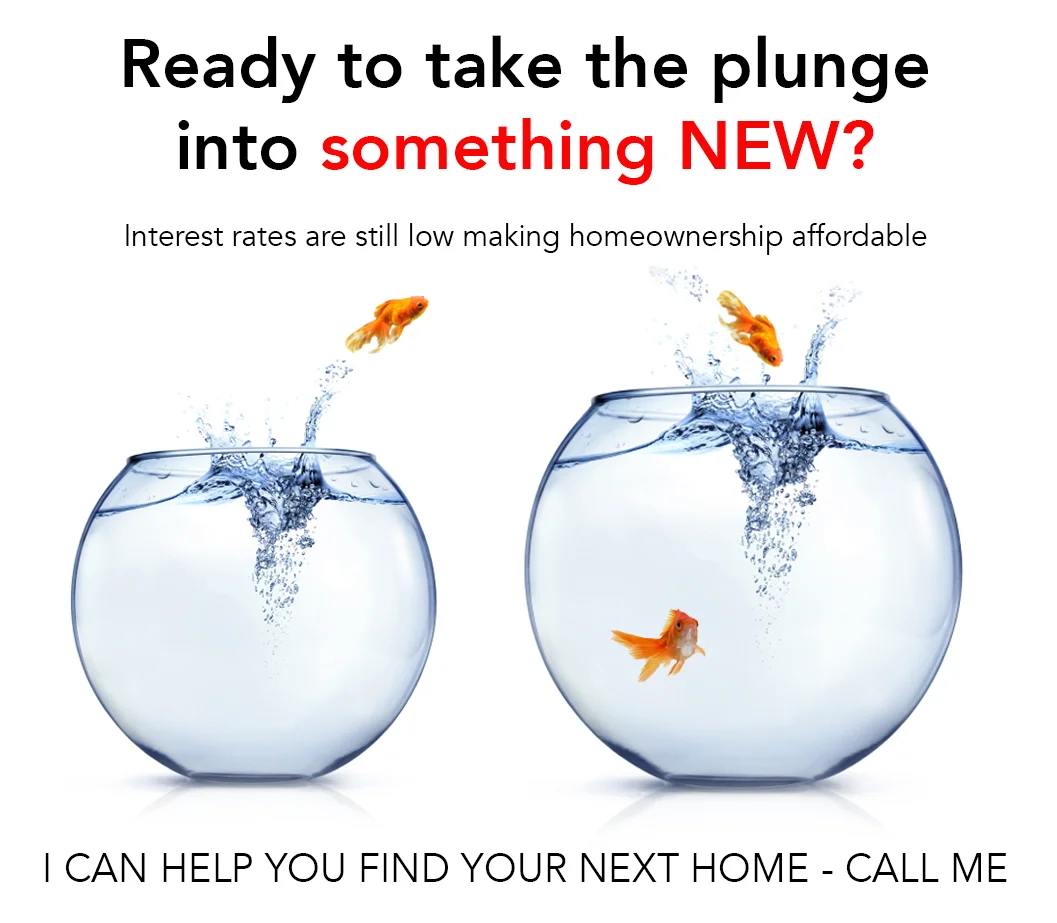 FishInBowl.jpg