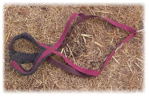 harness.jpg