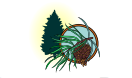 pines.png