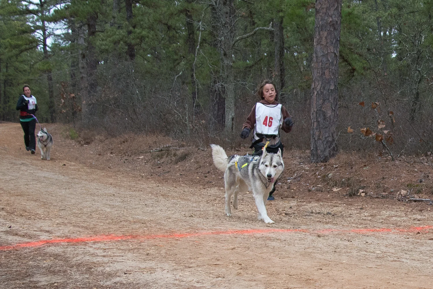 Pine-Barrens-Dryland_Run-November 30, 2013-59.jpg