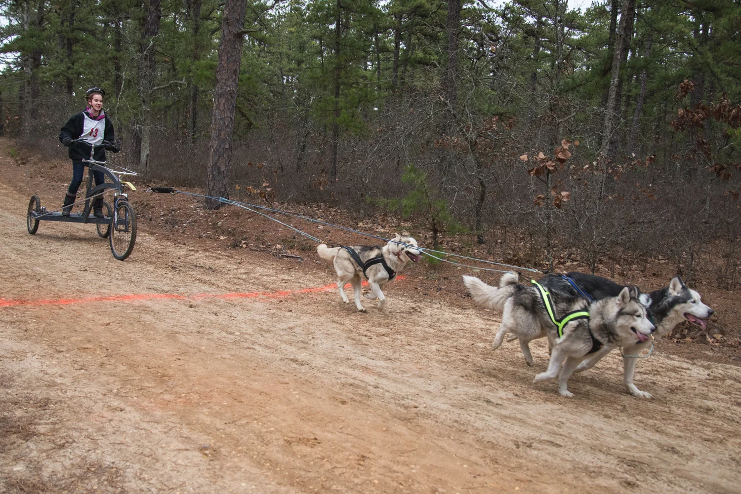 Pine-Barrens-Dryland_Run-November 30, 2013-58.jpg