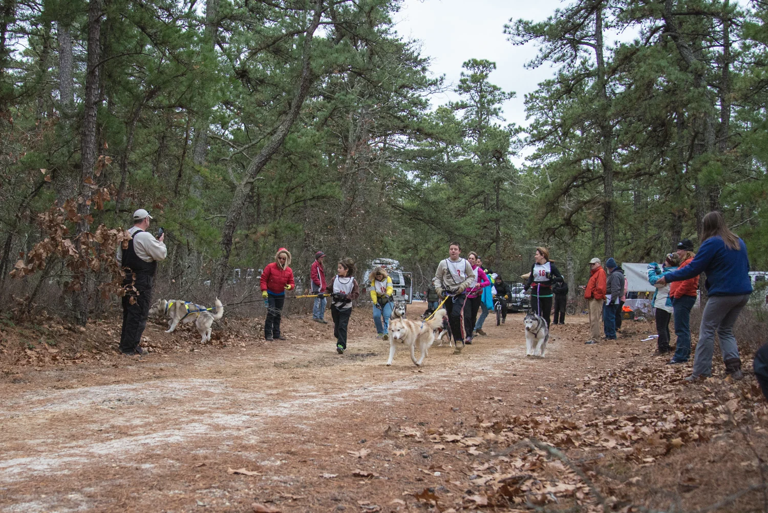 Pine-Barrens-Dryland_Run-November 30, 2013-57.jpg