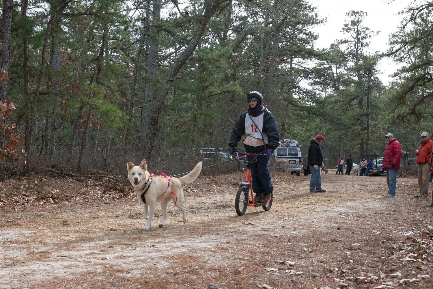 Pine-Barrens-Dryland_Run-November 30, 2013-47.jpg