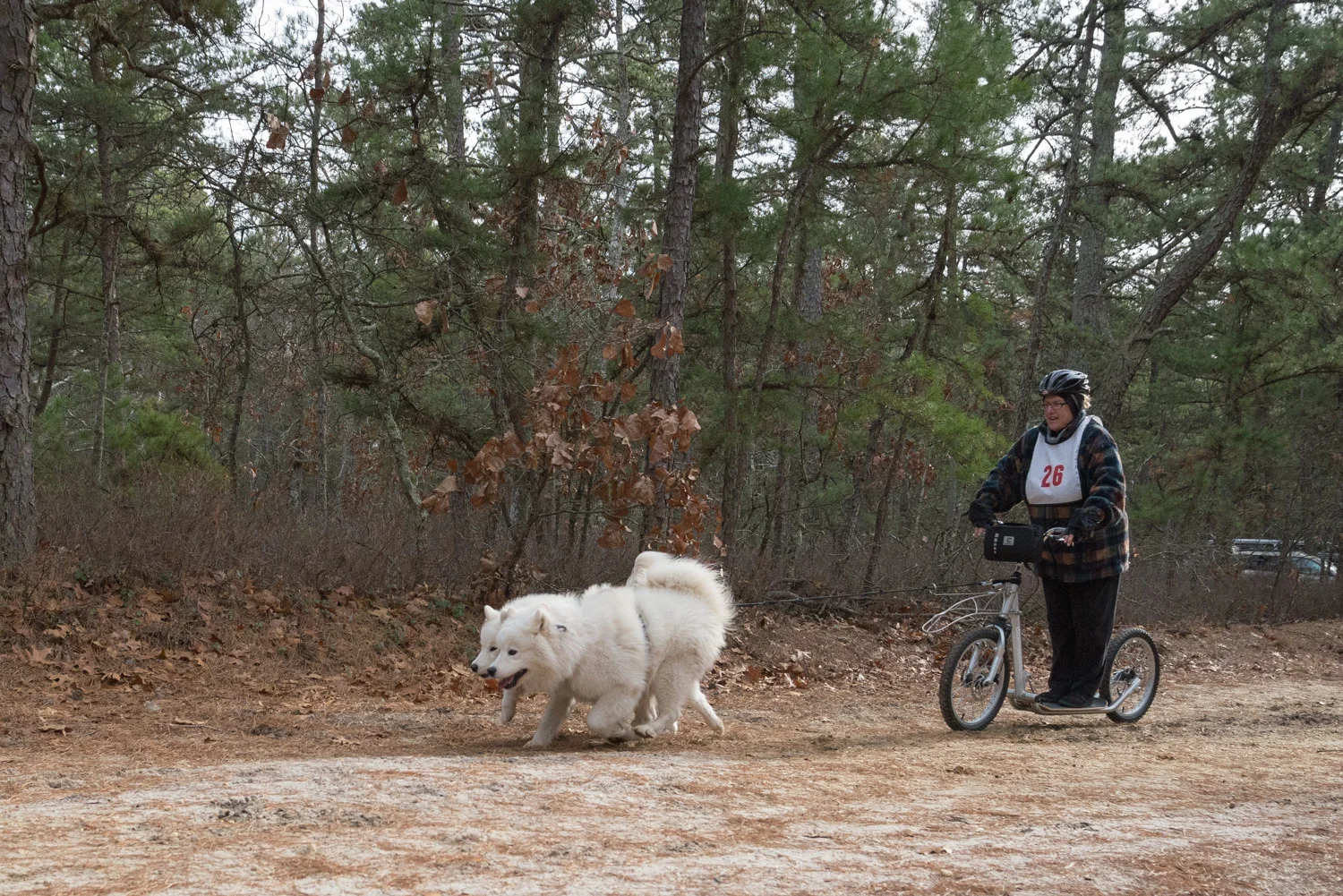 Pine-Barrens-Dryland_Run-November 30, 2013-46.jpg