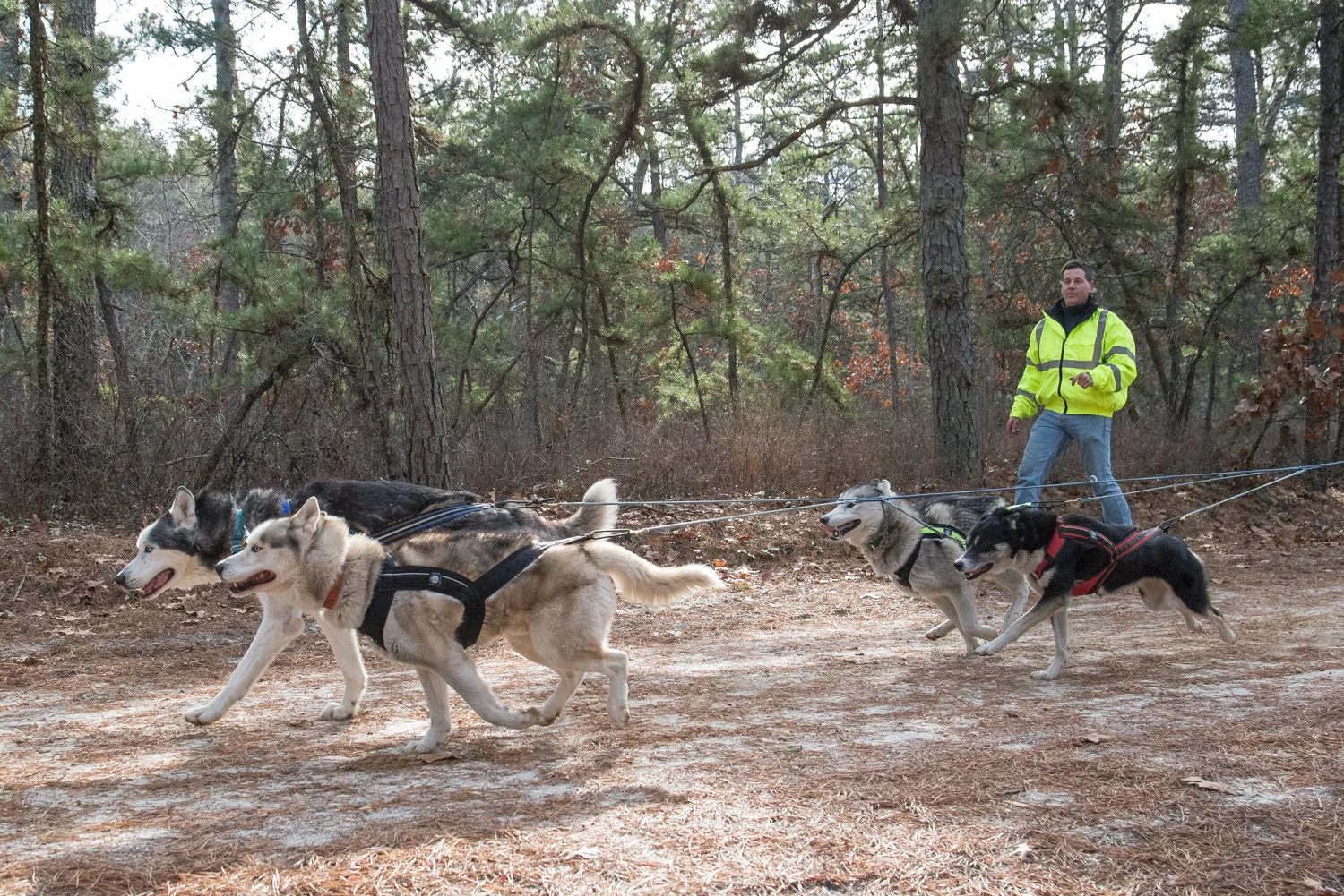 Pine-Barrens-Dryland_Run-November 30, 2013-41.jpg