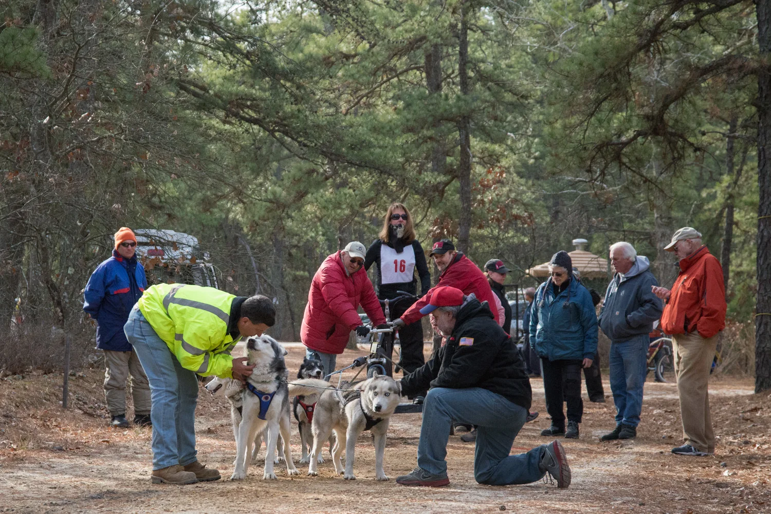Pine-Barrens-Dryland_Run-November 30, 2013-39.jpg