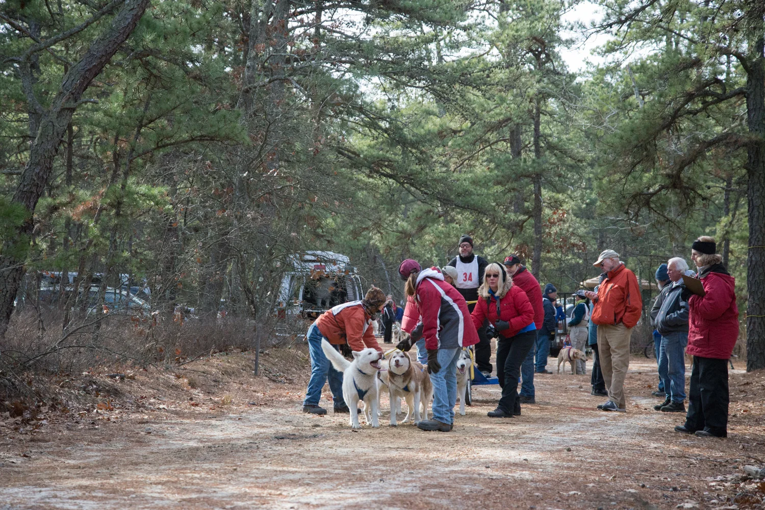 Pine-Barrens-Dryland_Run-November 30, 2013-32.jpg