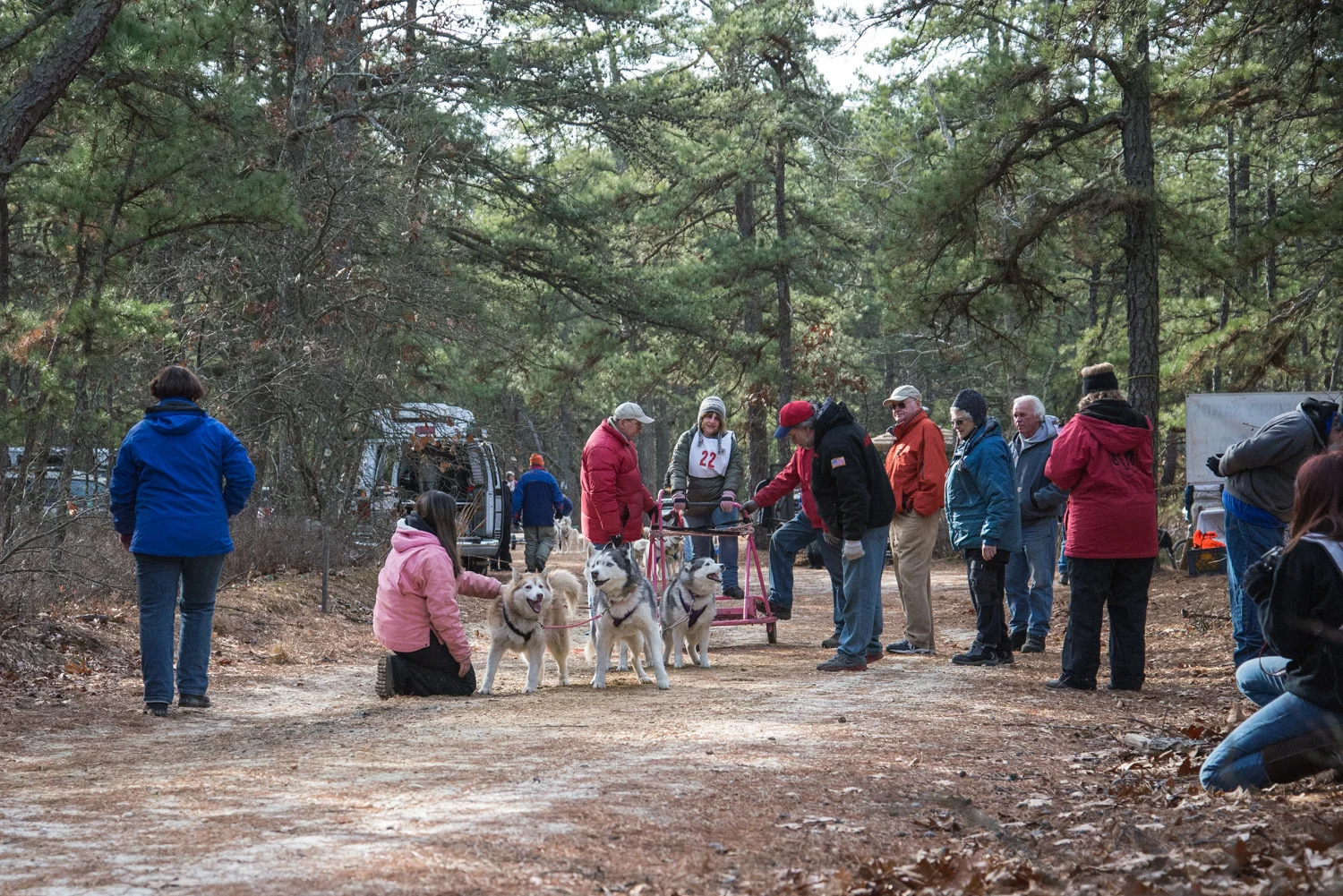 Pine-Barrens-Dryland_Run-November 30, 2013-30.jpg