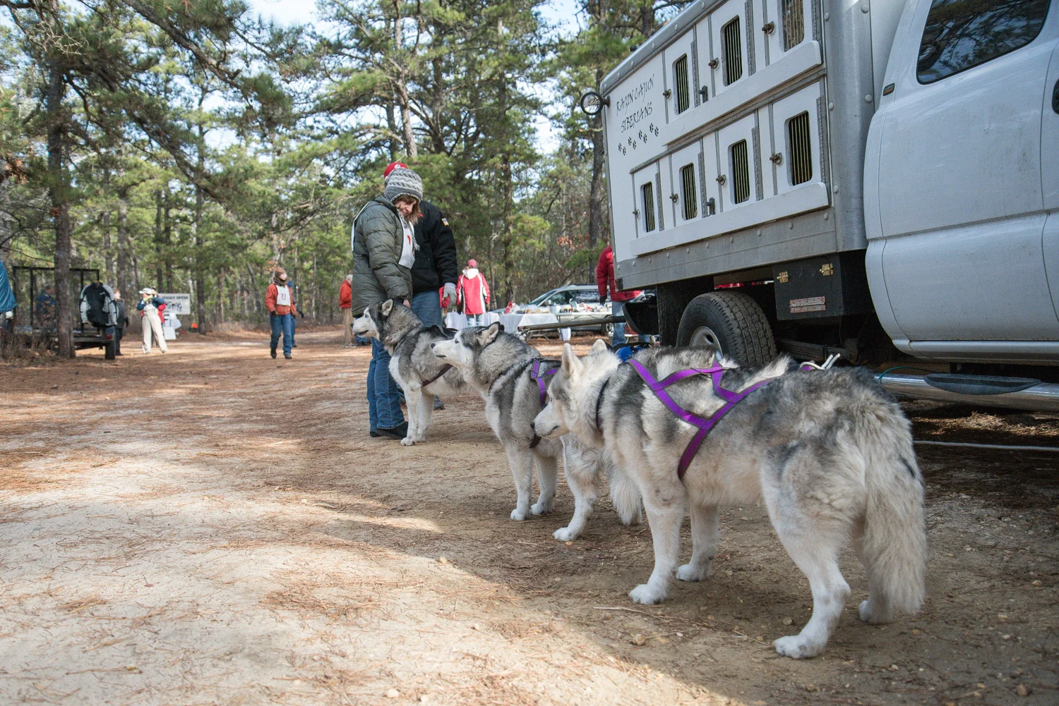 Pine-Barrens-Dryland_Run-November 30, 2013-27.jpg