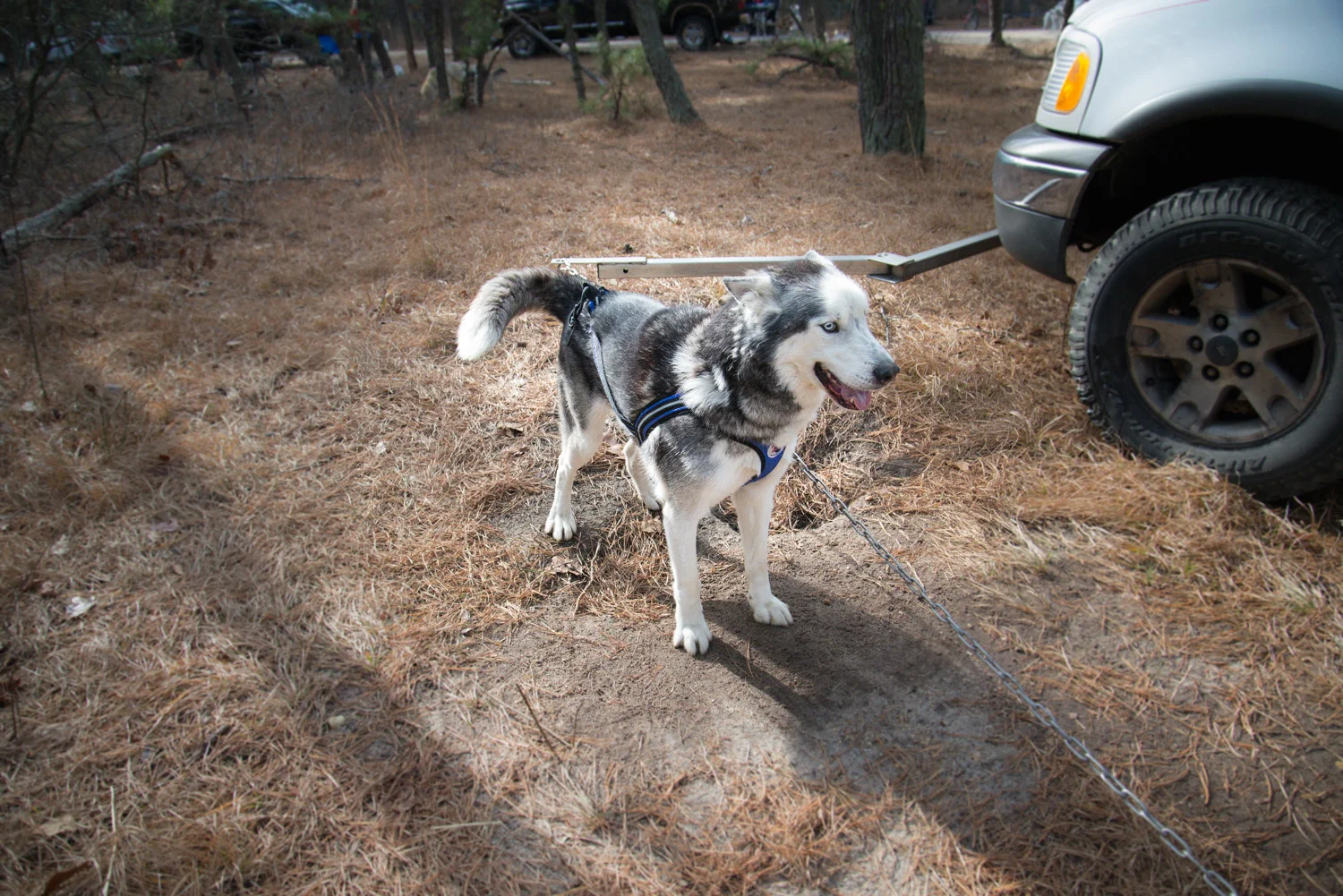 Pine-Barrens-Dryland_Run-November 30, 2013-25.jpg