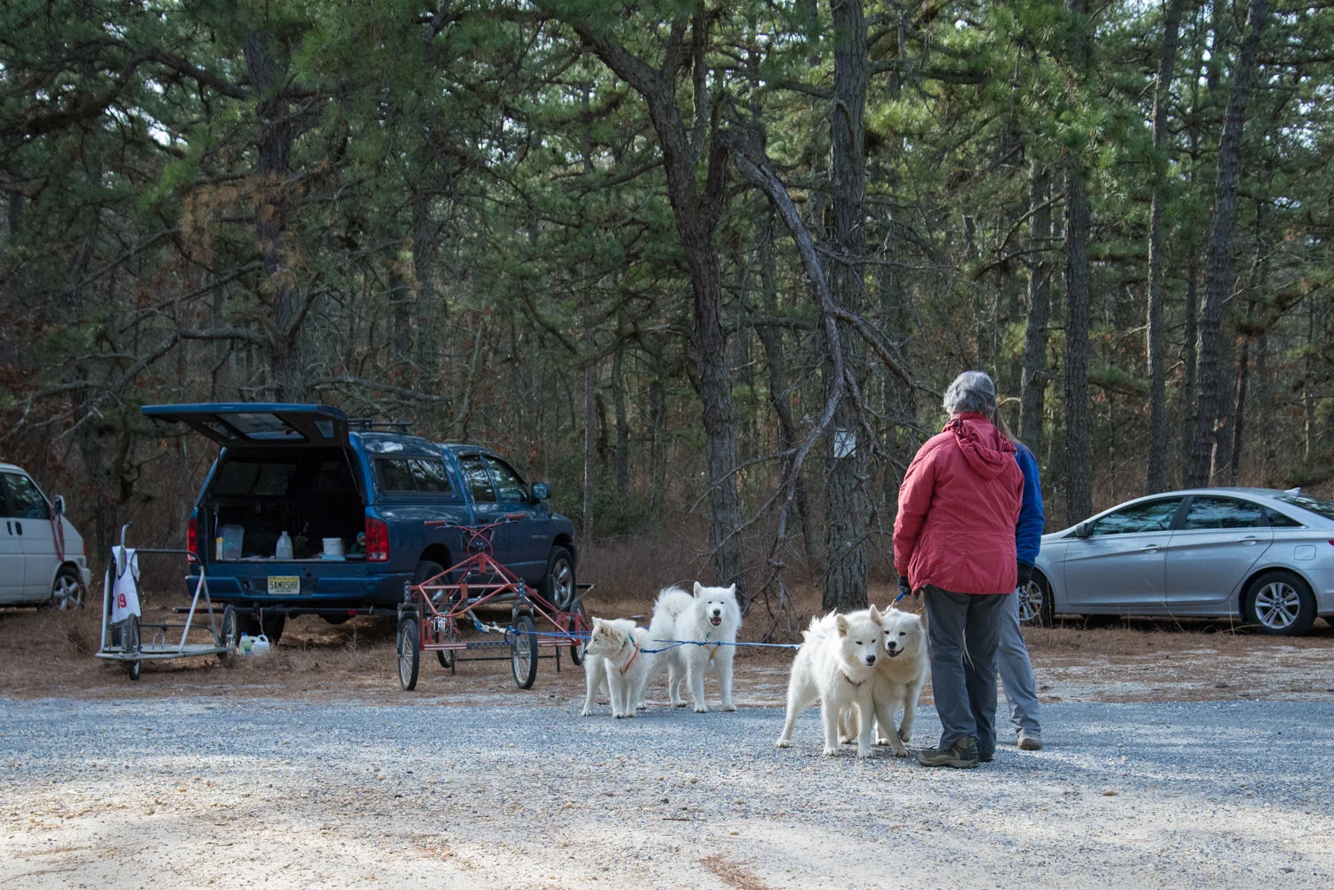 Pine-Barrens-Dryland_Run-November 30, 2013-26.jpg