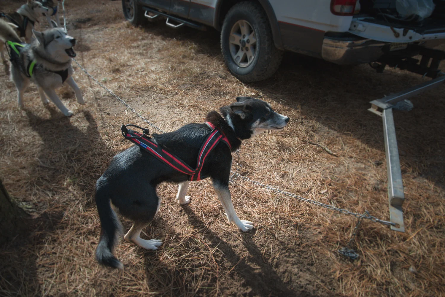 Pine-Barrens-Dryland_Run-November 30, 2013-23.jpg