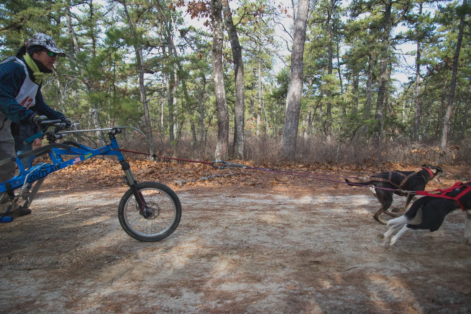 Pine-Barrens-Dryland_Run-November 30, 2013-15.jpg
