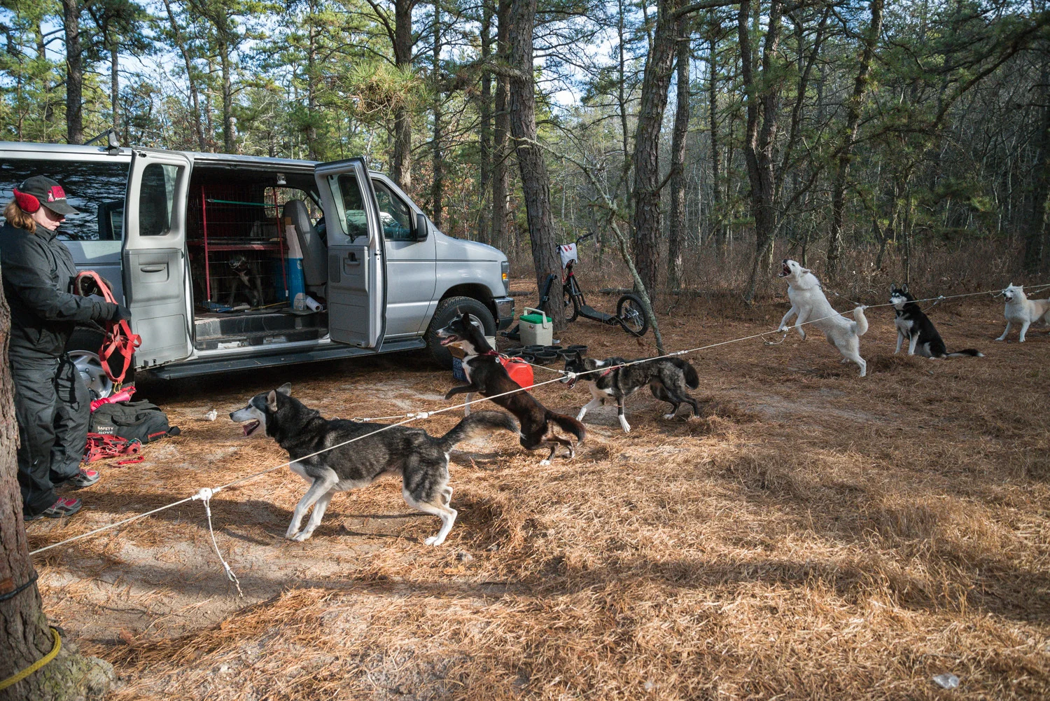 Pine-Barrens-Dryland_Run-November 30, 2013-9.jpg
