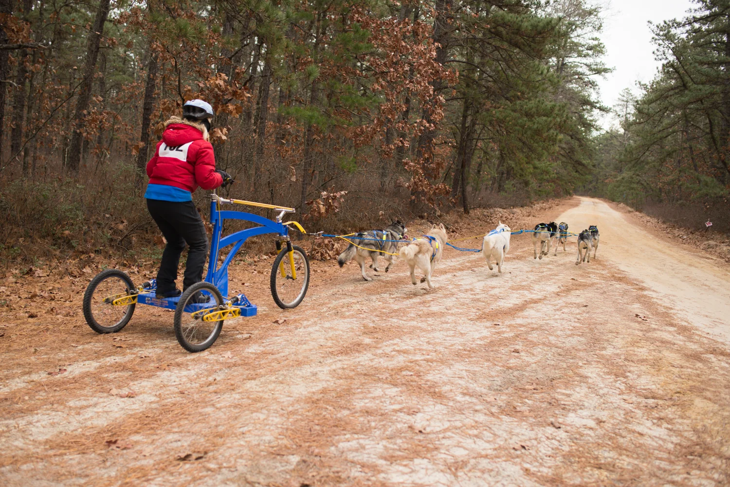 jssdra-race-2014-13.jpg