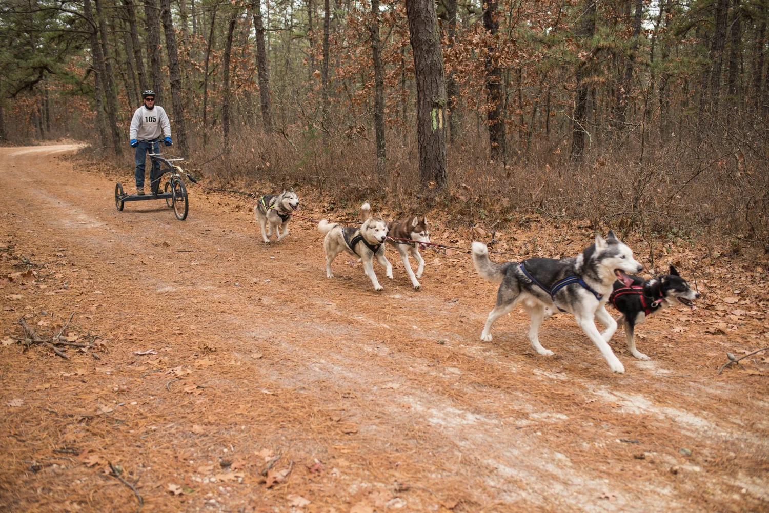 jssdra-race-2014-23.jpg