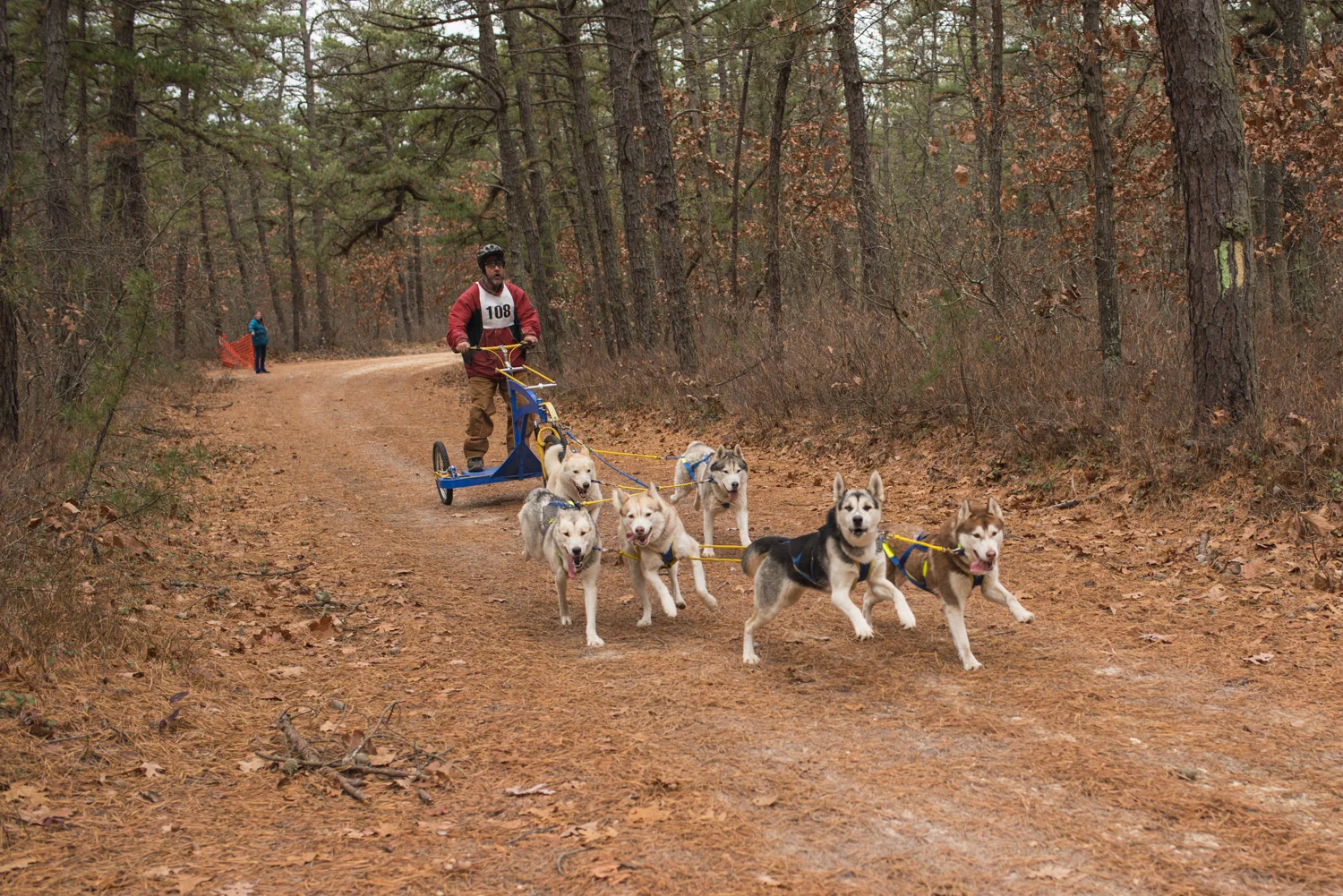 jssdra-race-2014-26.jpg