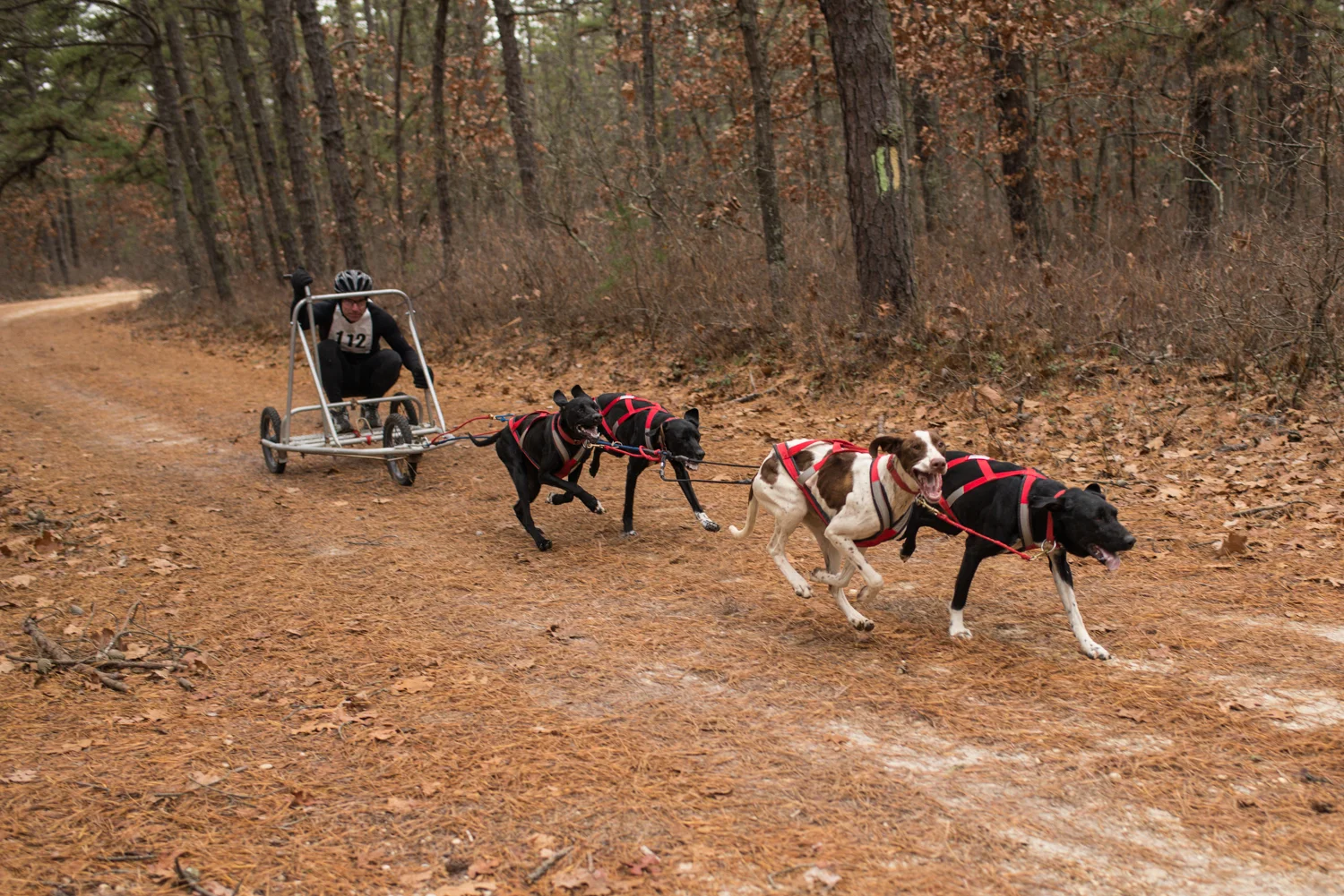 jssdra-race-2014-32.jpg