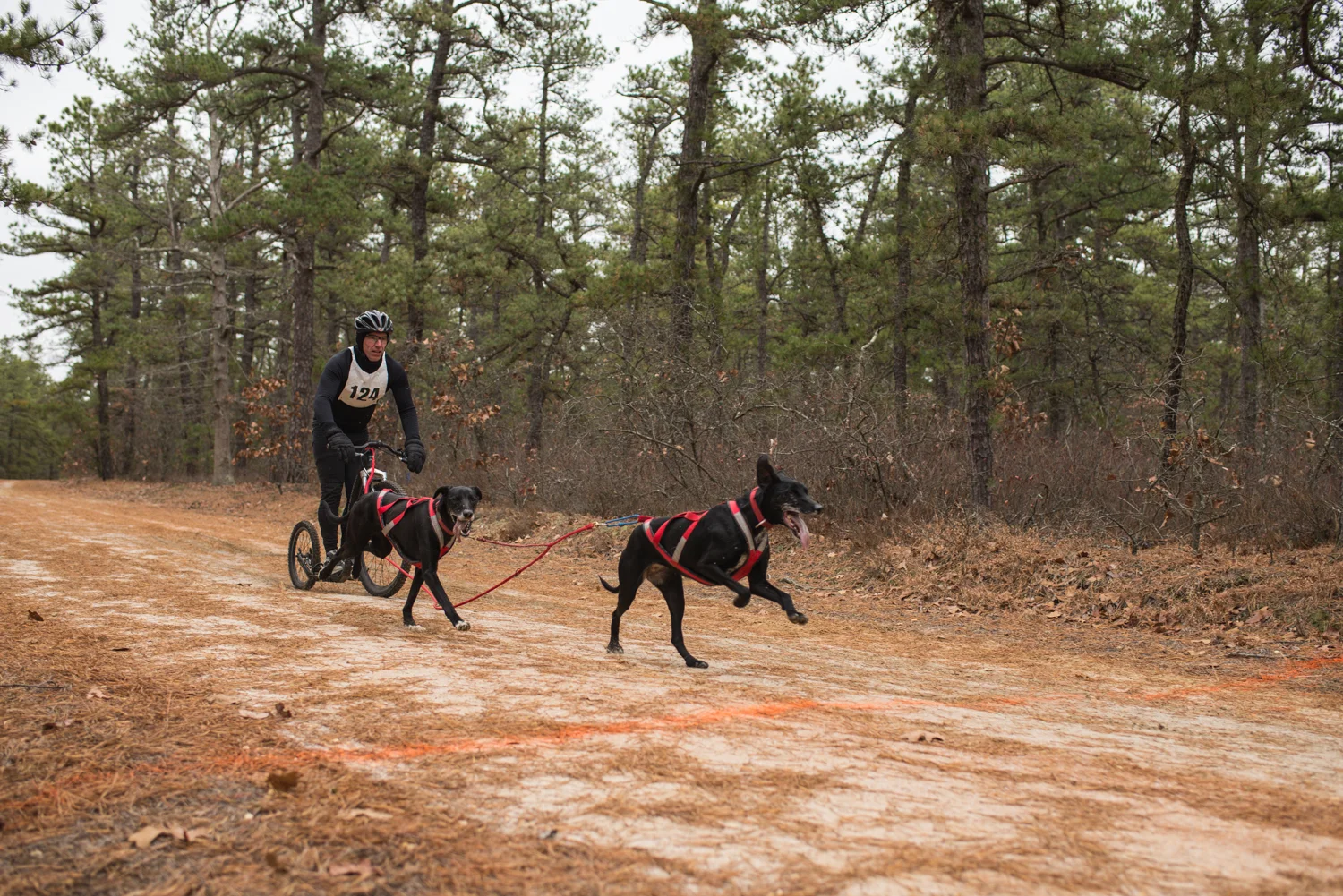 jssdra-race-2014-39.jpg