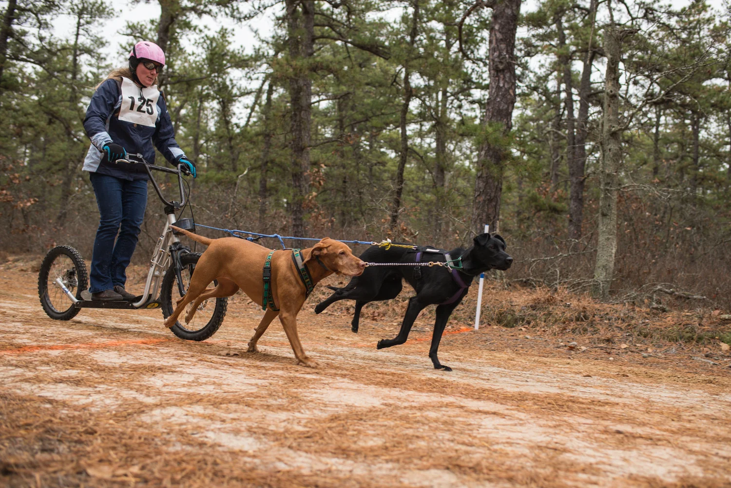 jssdra-race-2014-41.jpg