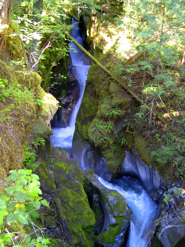 Uppermiddle_Ladder_Creek_Falls.jpg