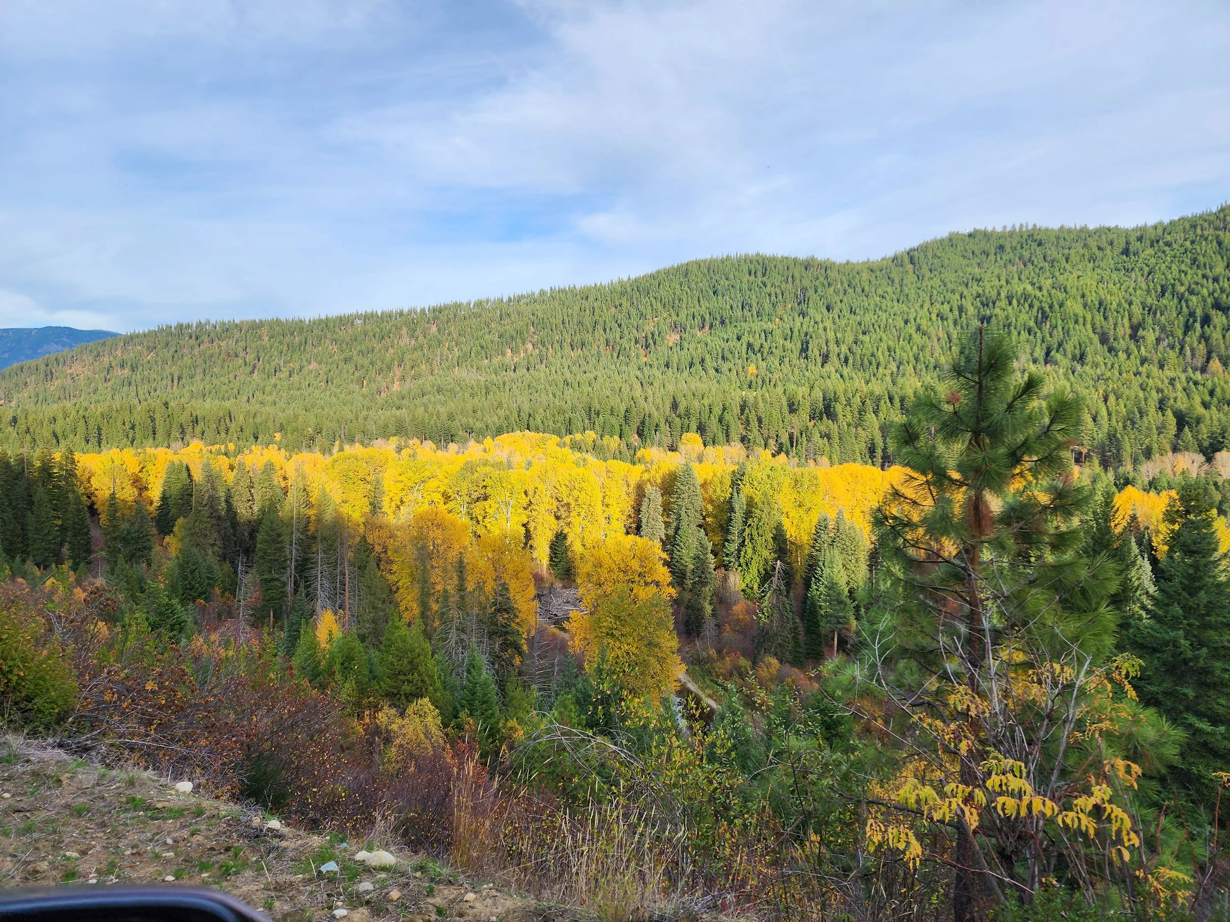 NASON RIDGE COMMUNITY FOREST MASTER PLAN