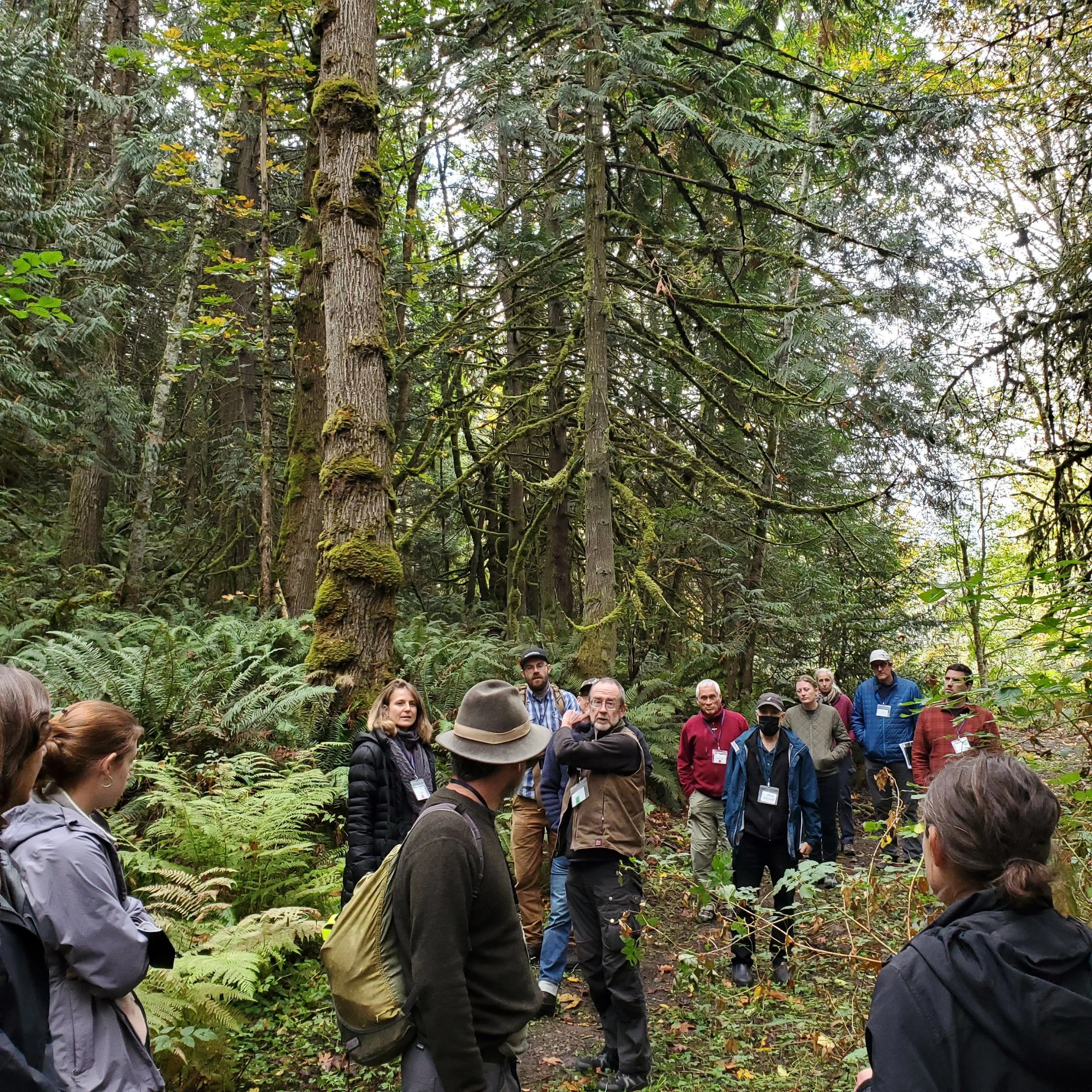 CHIMACUM COMMUNITY FOREST MASTER PLAN