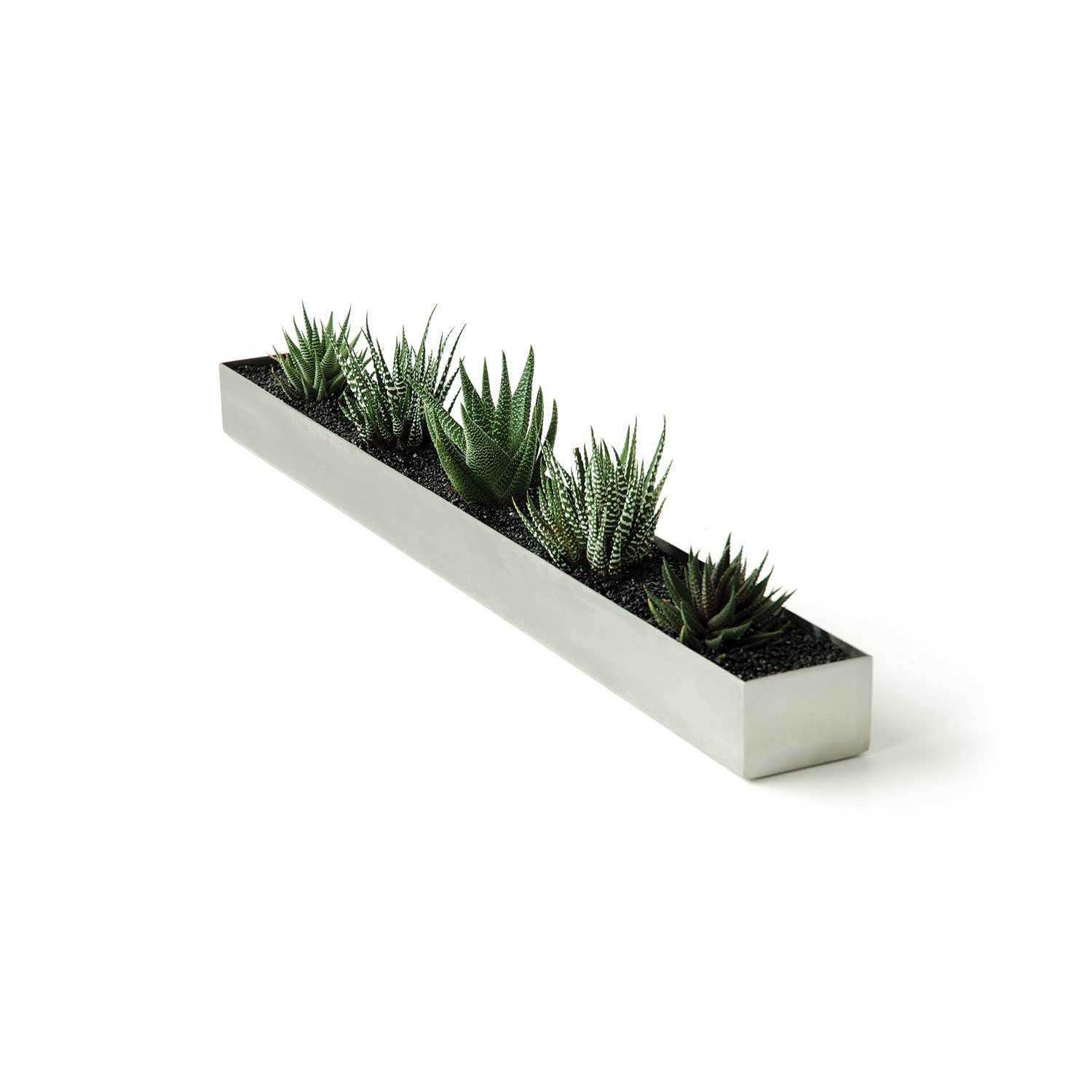 Stainless Steel Trough Succulent Planter