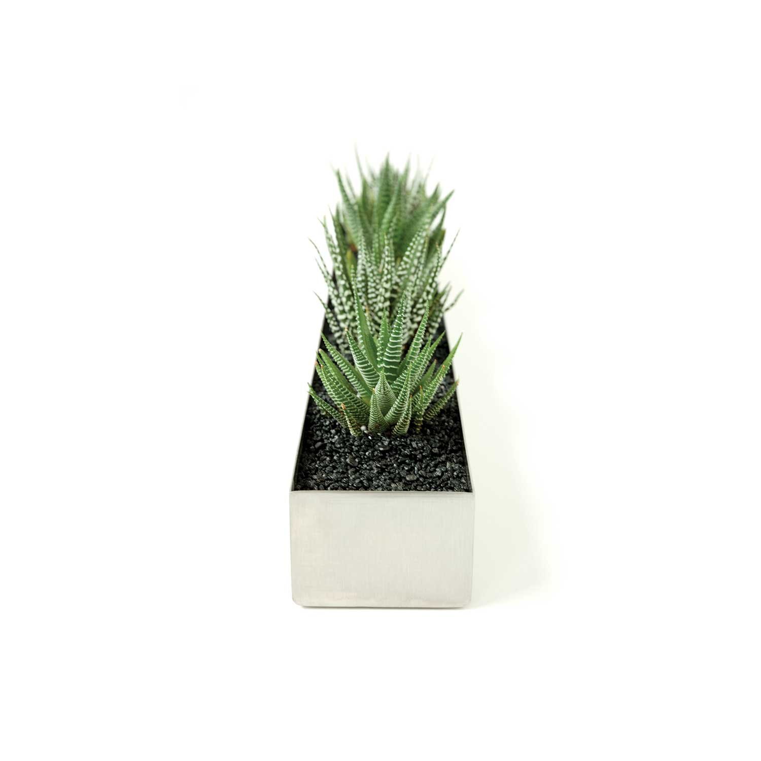 Stainless Steel Trough Succulent Planter