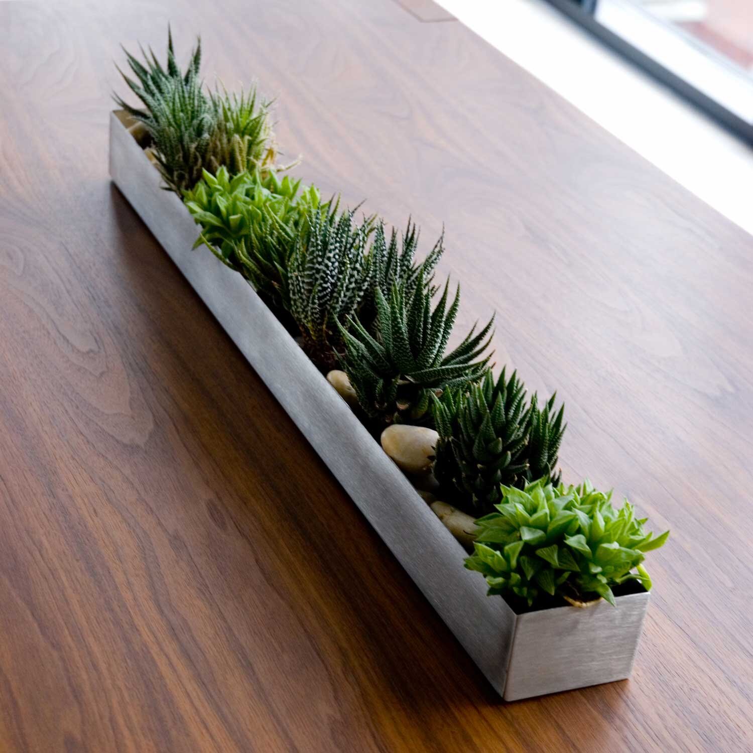 Stainless Steel Trough Succulent Planter On Wood Table